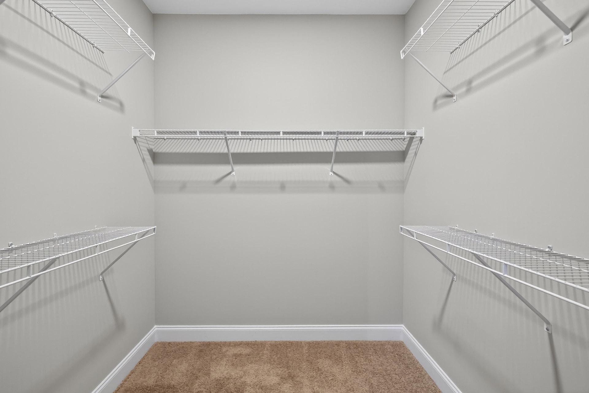 Walk-in closet with white shelving units, metal rods, and light-colored carpet flooring