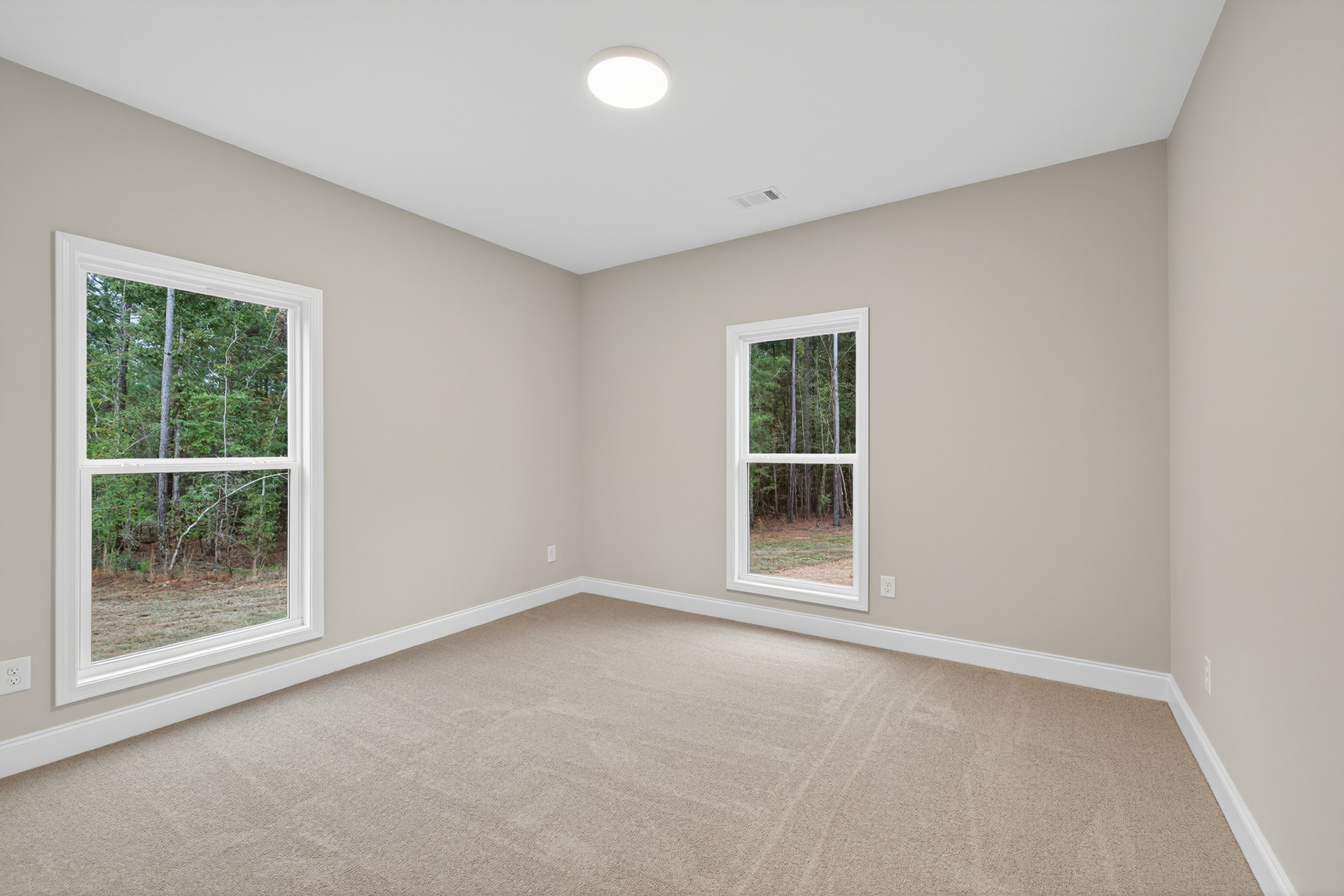 Carpeted room featuring large windows with views of leafy trees, white plaster walls, ceiling light fixture, and decorative molding.