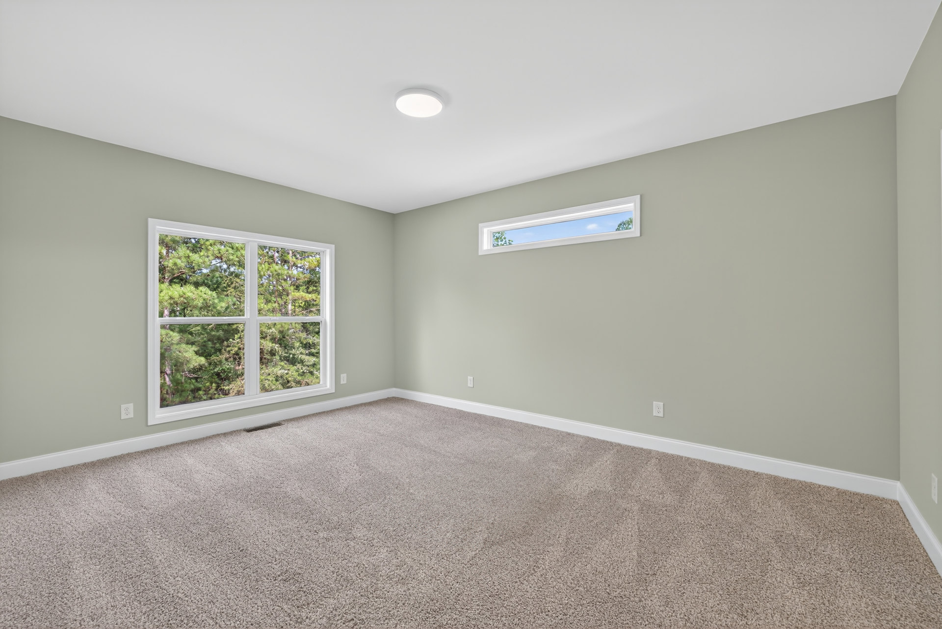 Neutral-toned carpeted room with white walls, large window showing trees and blue sky, ceiling-mounted light fixture