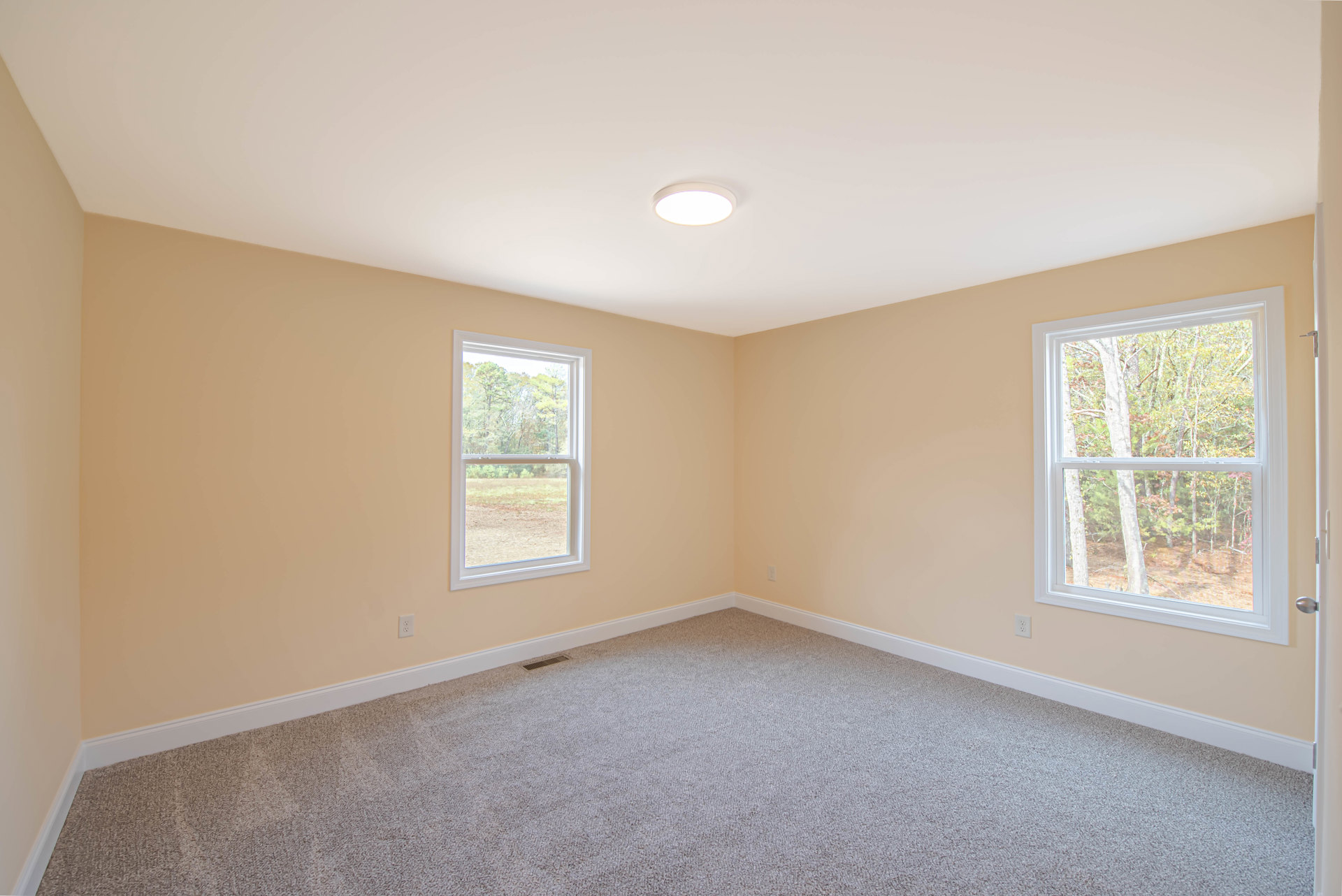Carpeted room with large windows overlooking trees and a field, white walls, ceiling light fixture, and decorative molding.