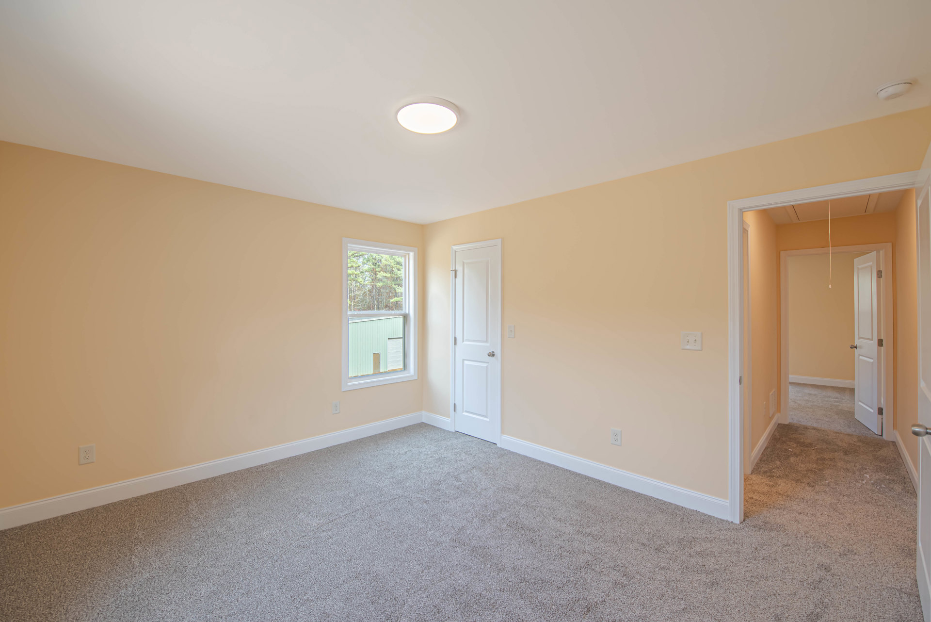 Beige walls and carpeted floor, white door with silver knob, window showing trees outside, close-up of ceiling light fixture, baseboard molding along walls