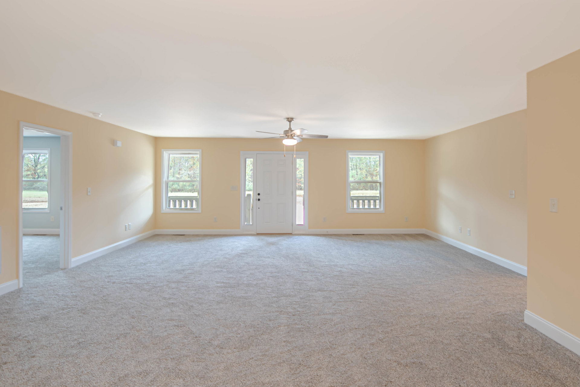 Carpeted room with white framed window overlooking trees, white door with glass panes, ceiling fan, and light-colored walls with molding.