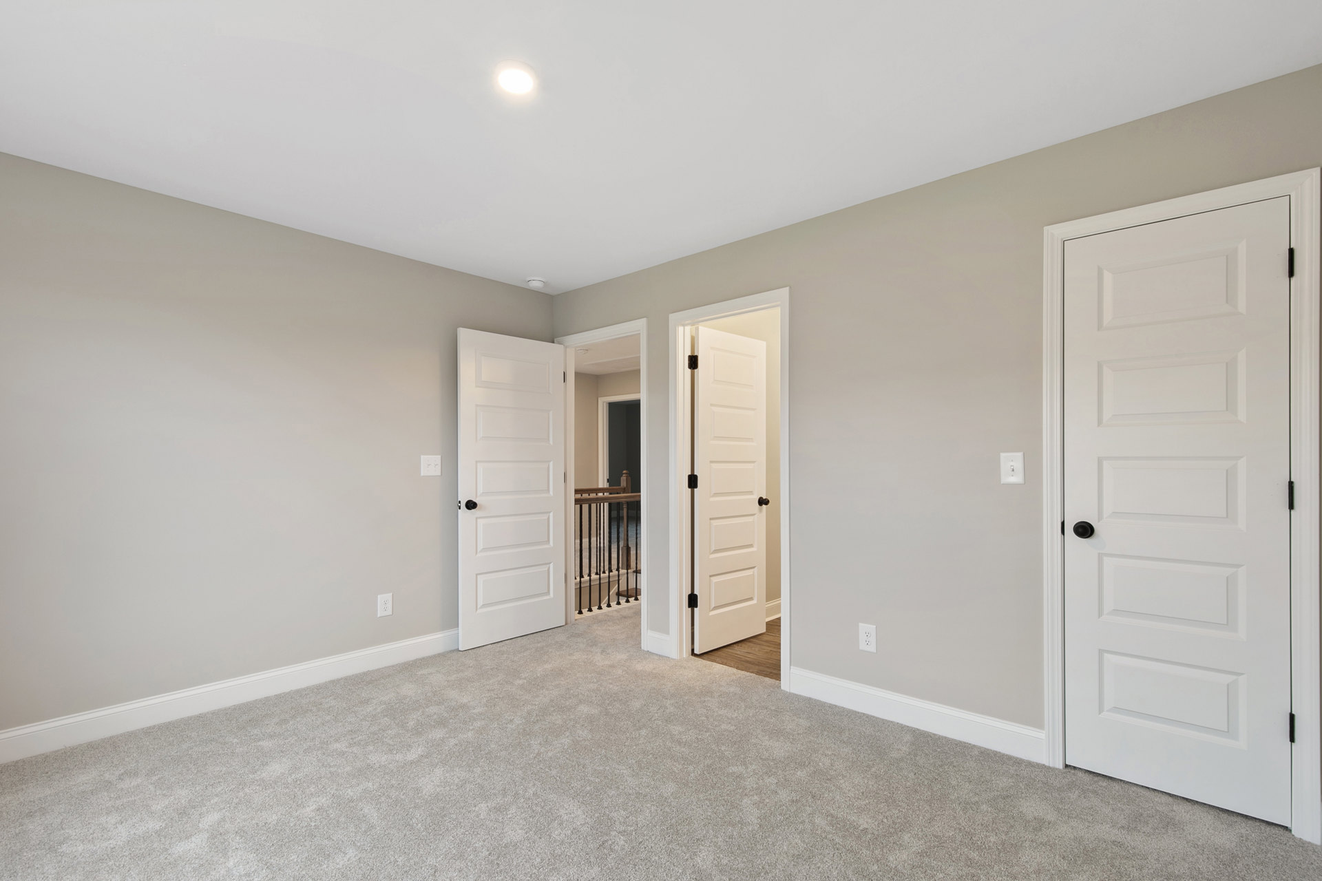 White carpeted room with multiple white paneled doors featuring black handles, smooth plaster walls, and flat white ceiling