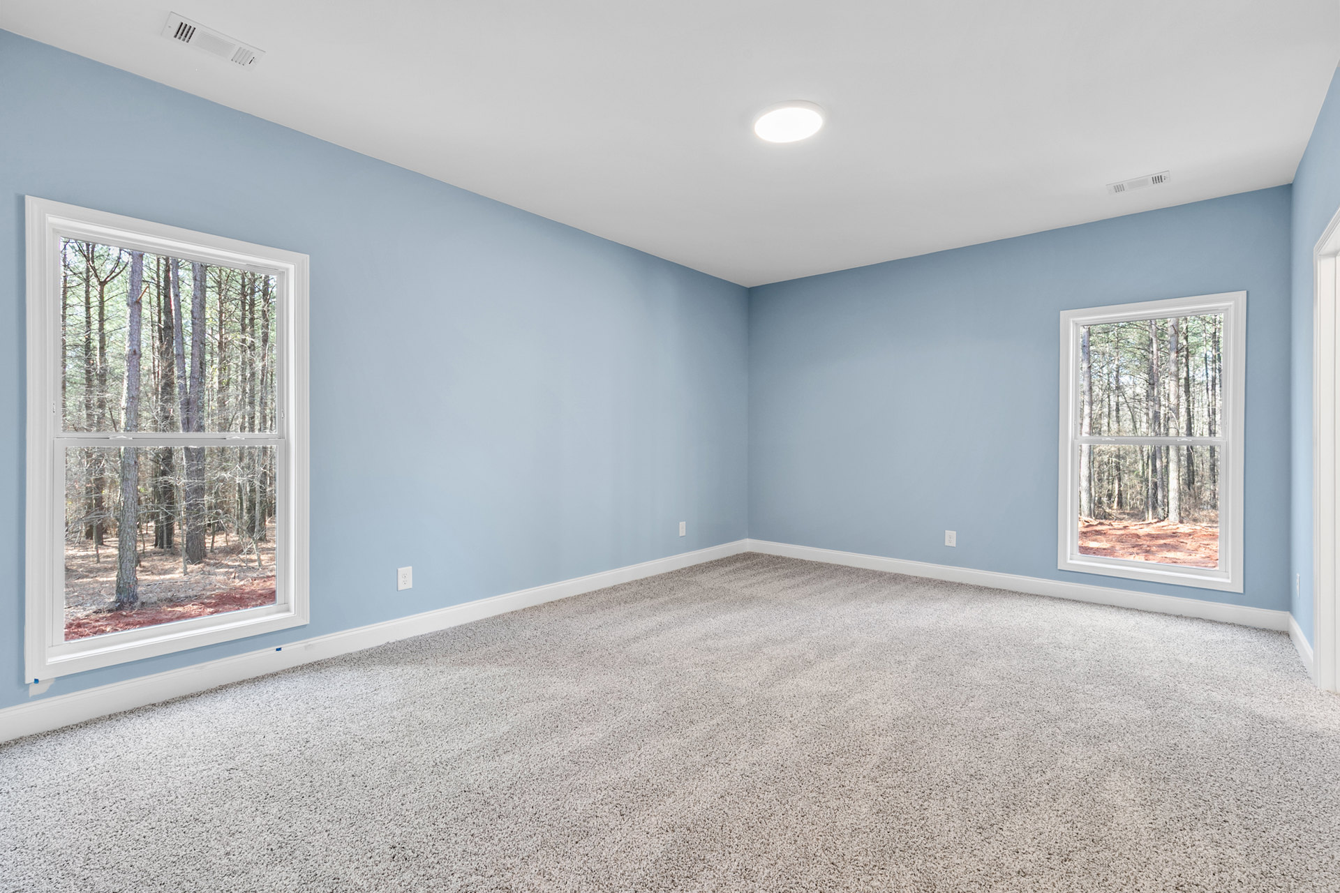 Blue-painted walls with white-trimmed windows, ceiling light fixture, carpeted floor, and trees visible through the windows