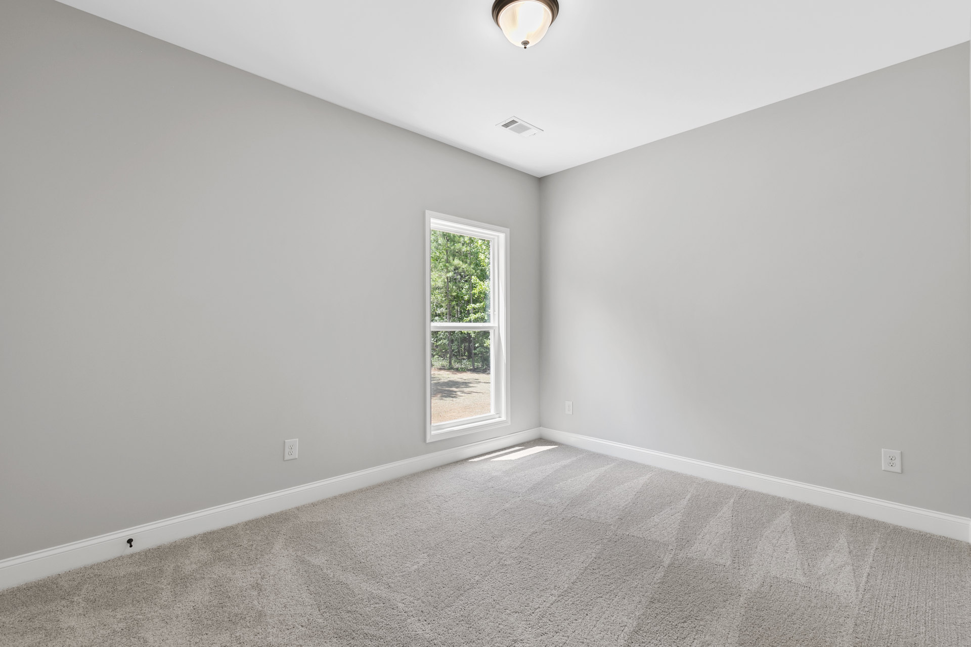 Sunlit room with beige carpet, white walls, large window overlooking leafy trees, and ceiling fan with light fixture