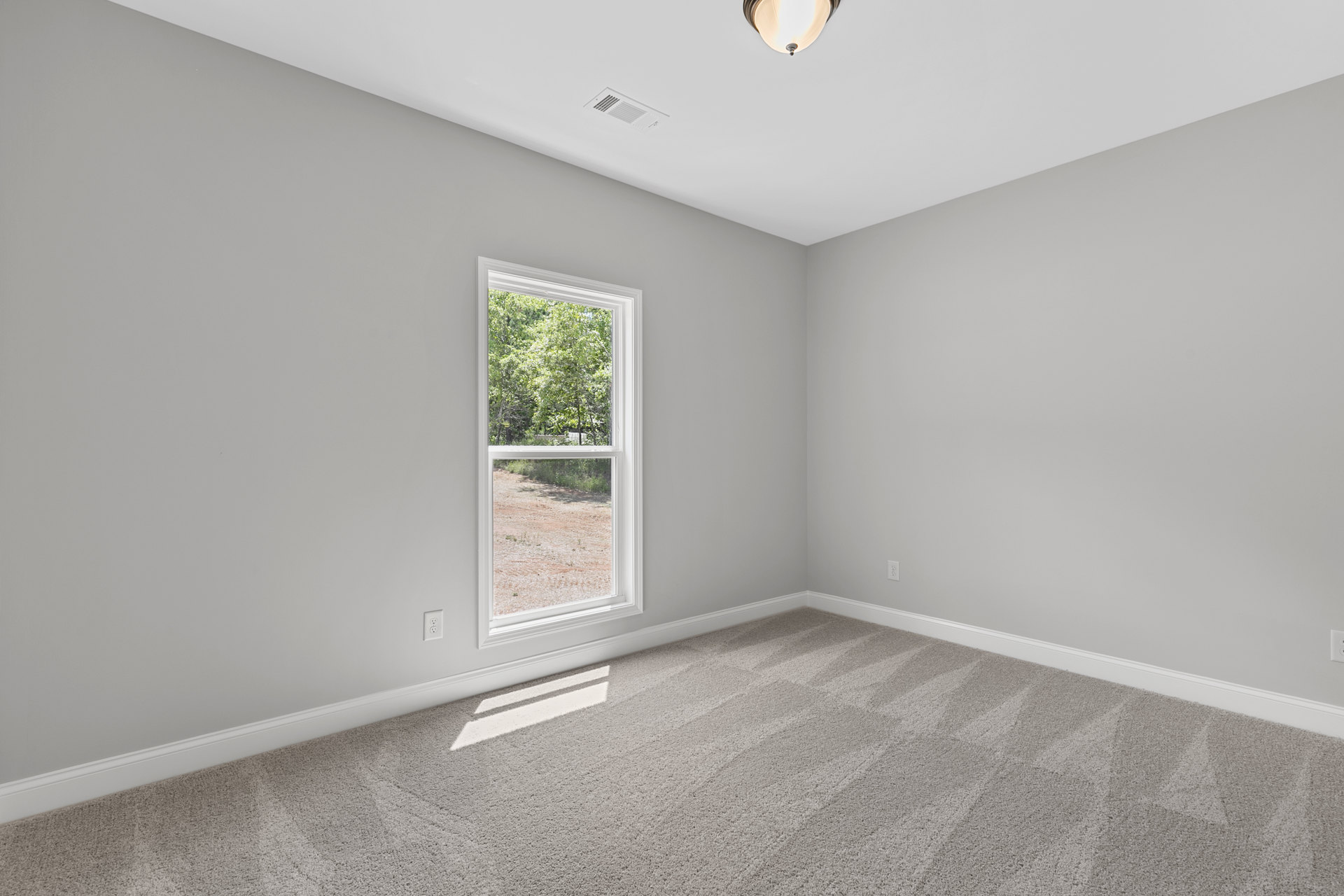 Neutral-toned carpeted room with white walls, large window framing leafy trees, simple molding, and a modern lamp.