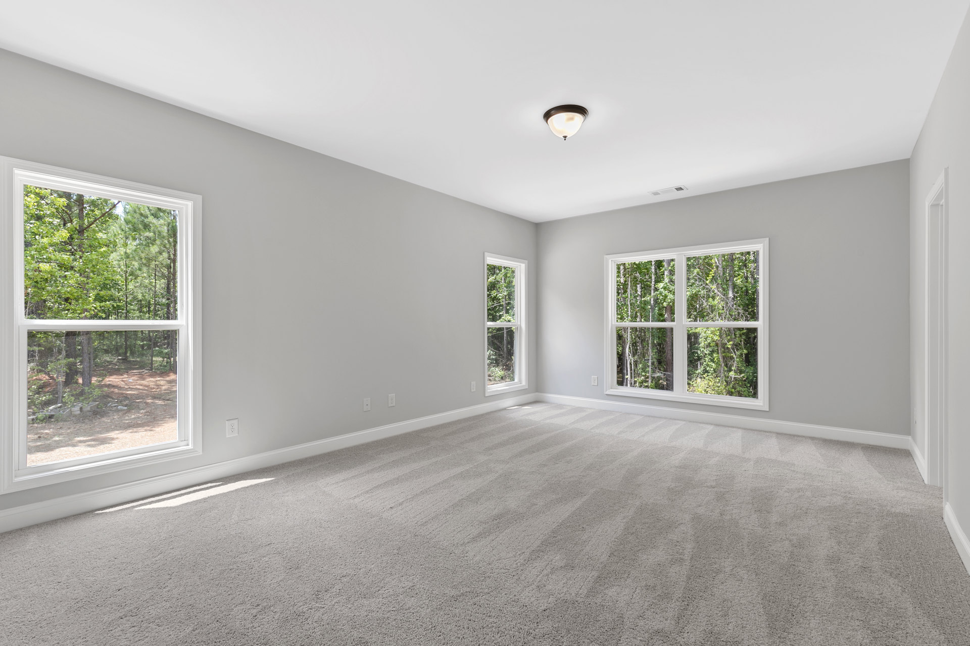 Carpeted room with large windows overlooking trees, white plaster walls, ceiling-mounted light fixture