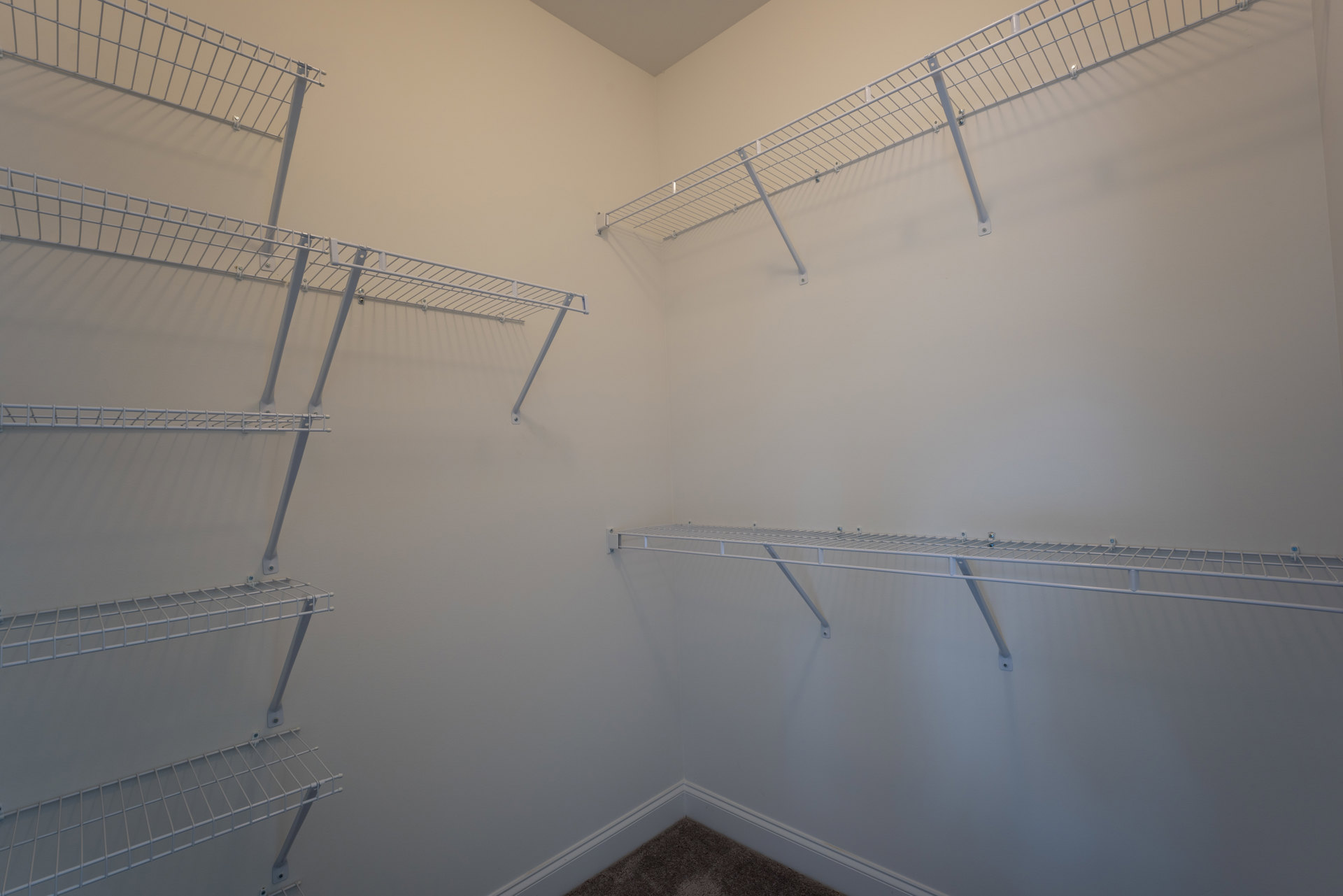 White metal shelves mounted on a white wall above a light-colored carpeted floor in a minimalist room