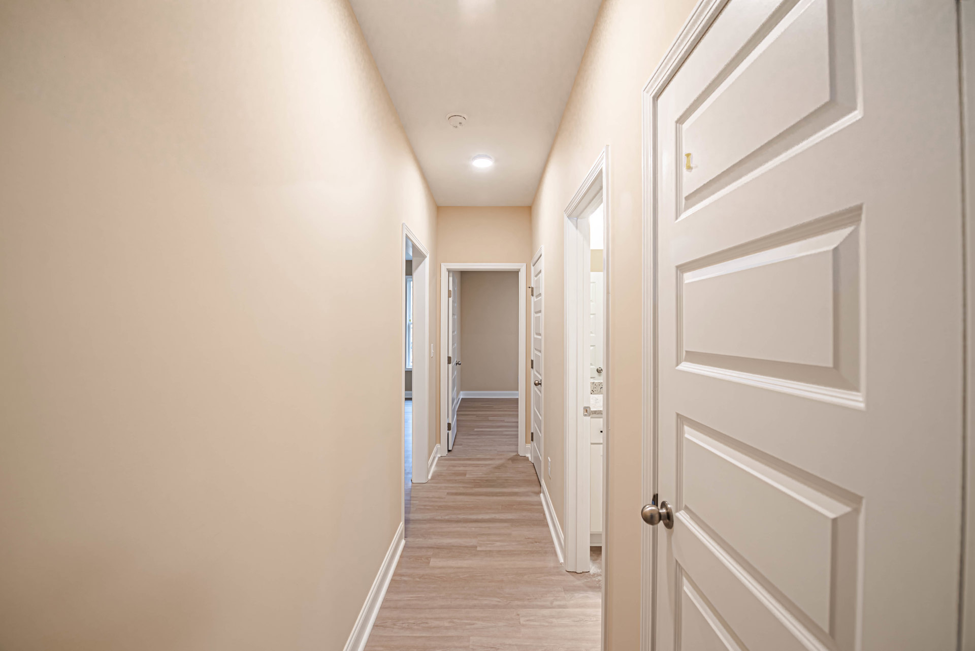 Hallway with white paneled doors, gold handles, wood flooring, white walls, and trim, wall-mounted light fixture