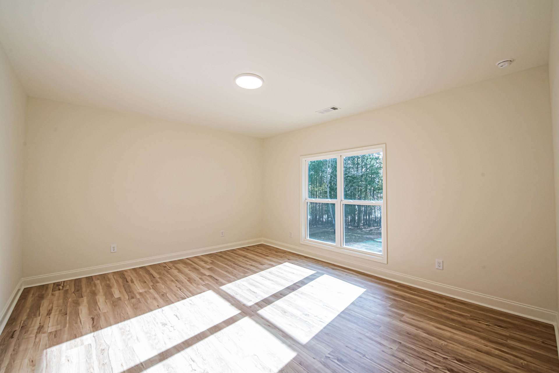 Sunlit room featuring a large window overlooking trees, hardwood flooring, white plaster walls, and a ceiling-mounted light fixture