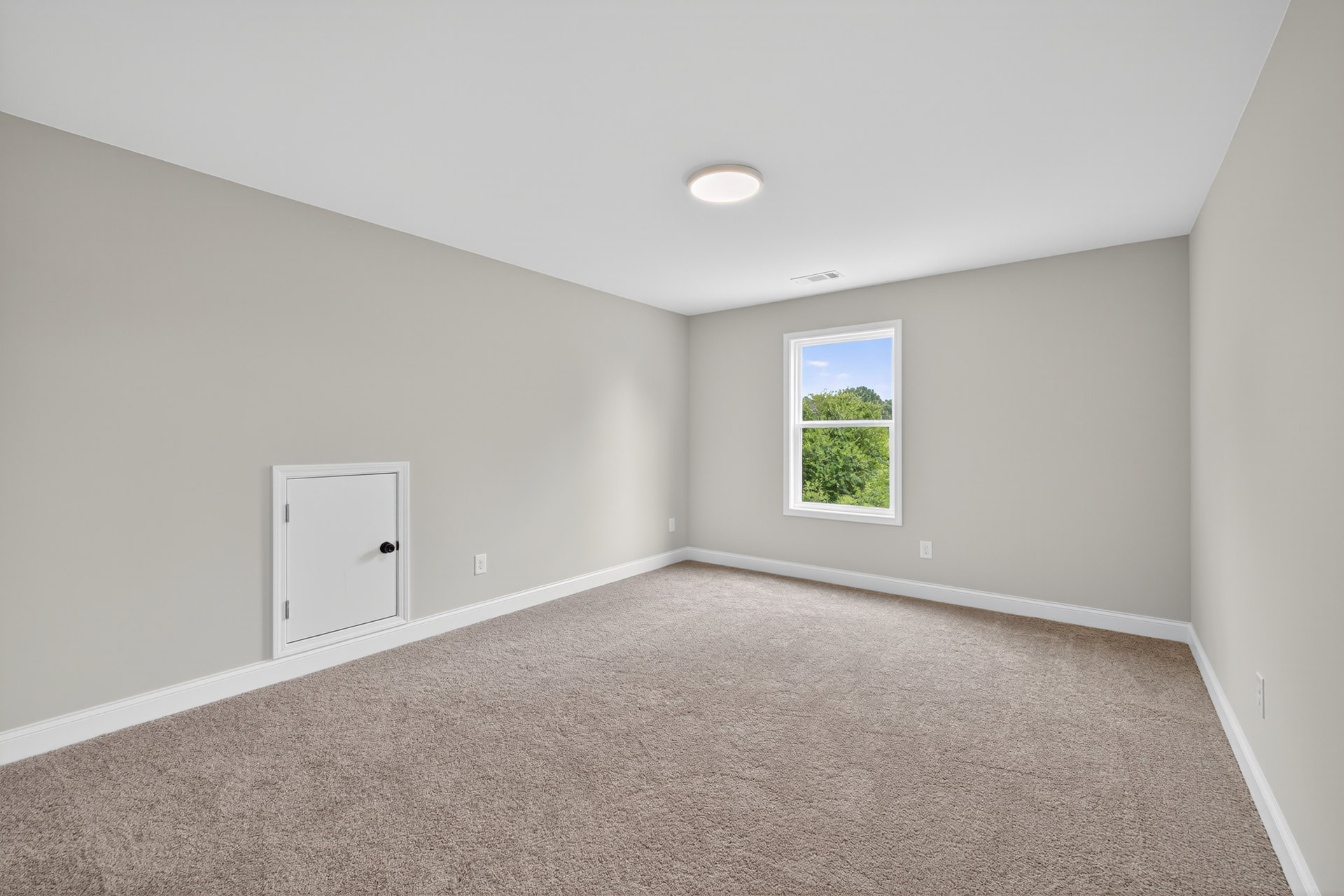 Carpeted room with white walls, large window showing trees outside, white door with black handle, ceiling light fixture, wall outlet near baseboard
