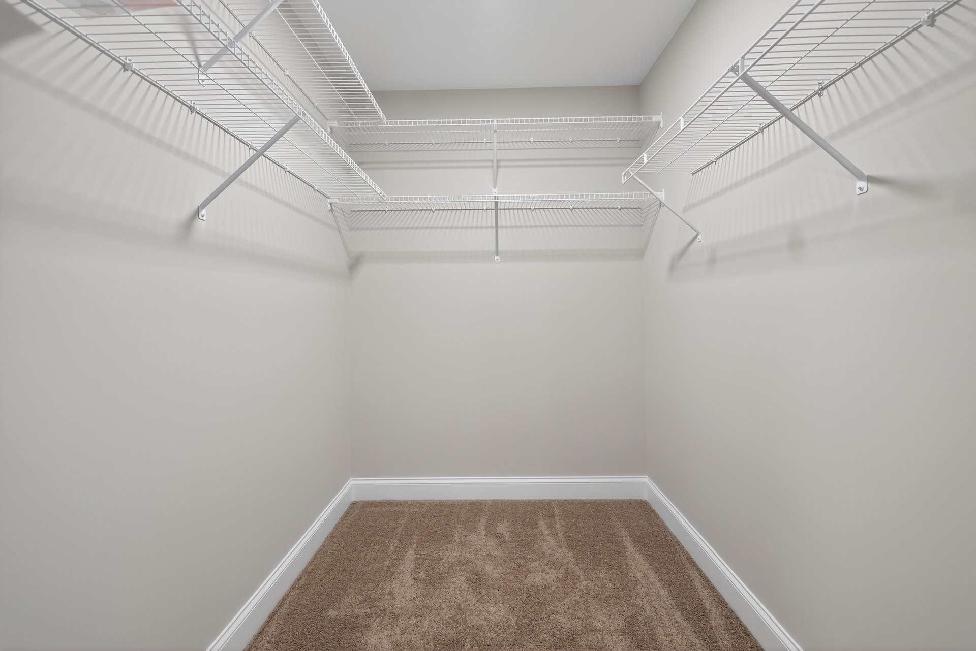 Walk-in closet with white wire shelves, beige carpet flooring, and smooth white walls