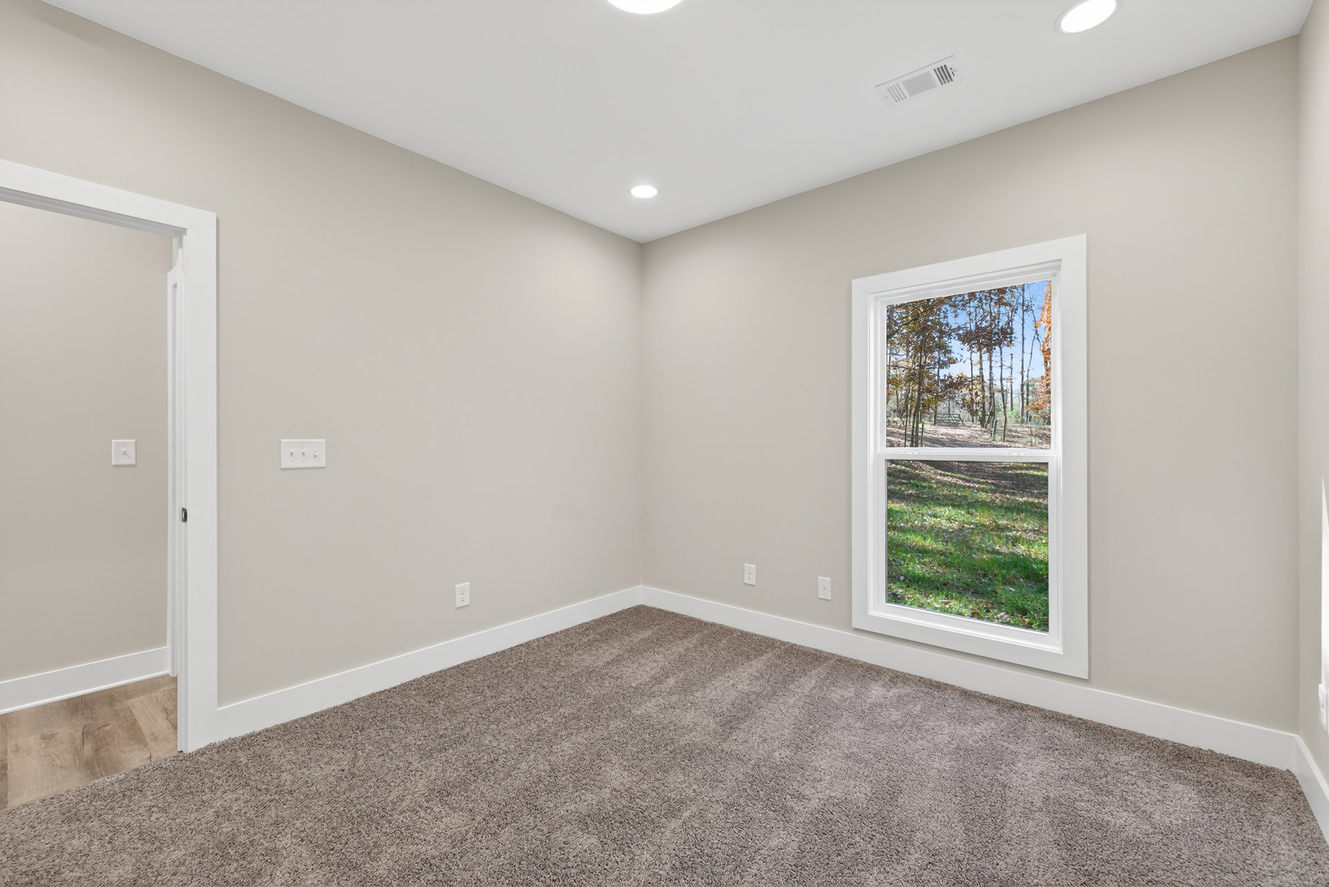 Neutral-toned carpeted room with white walls, large window overlooking green grass and trees, ceiling light fixture, and visible light switch on the wall