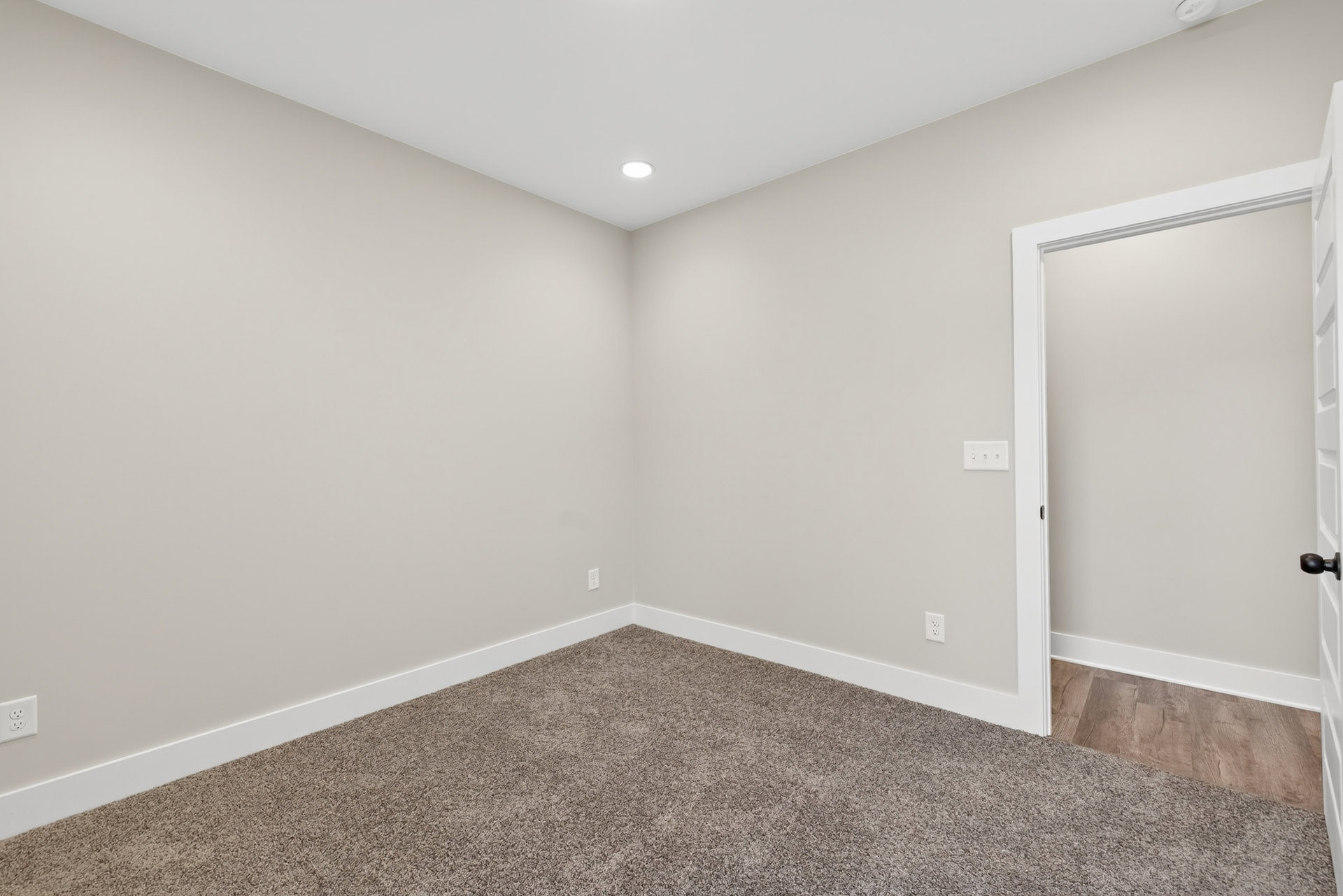 White paneled door with black handle, light switches on adjacent wall, beige carpet flooring, white baseboards, and smooth plaster walls in a residential room