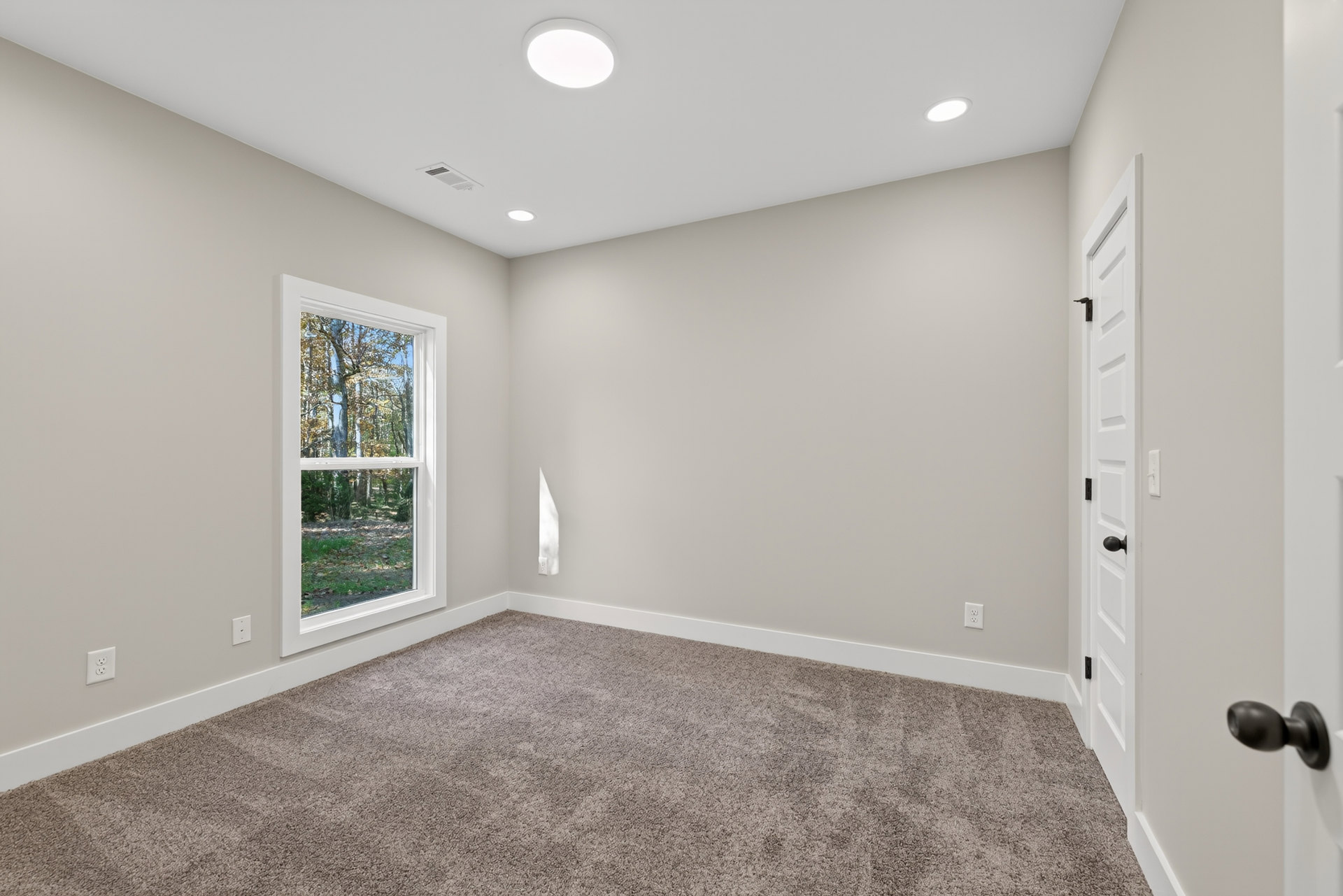 Carpeted room with white walls, ceiling light, large window showing trees outside, and a white door