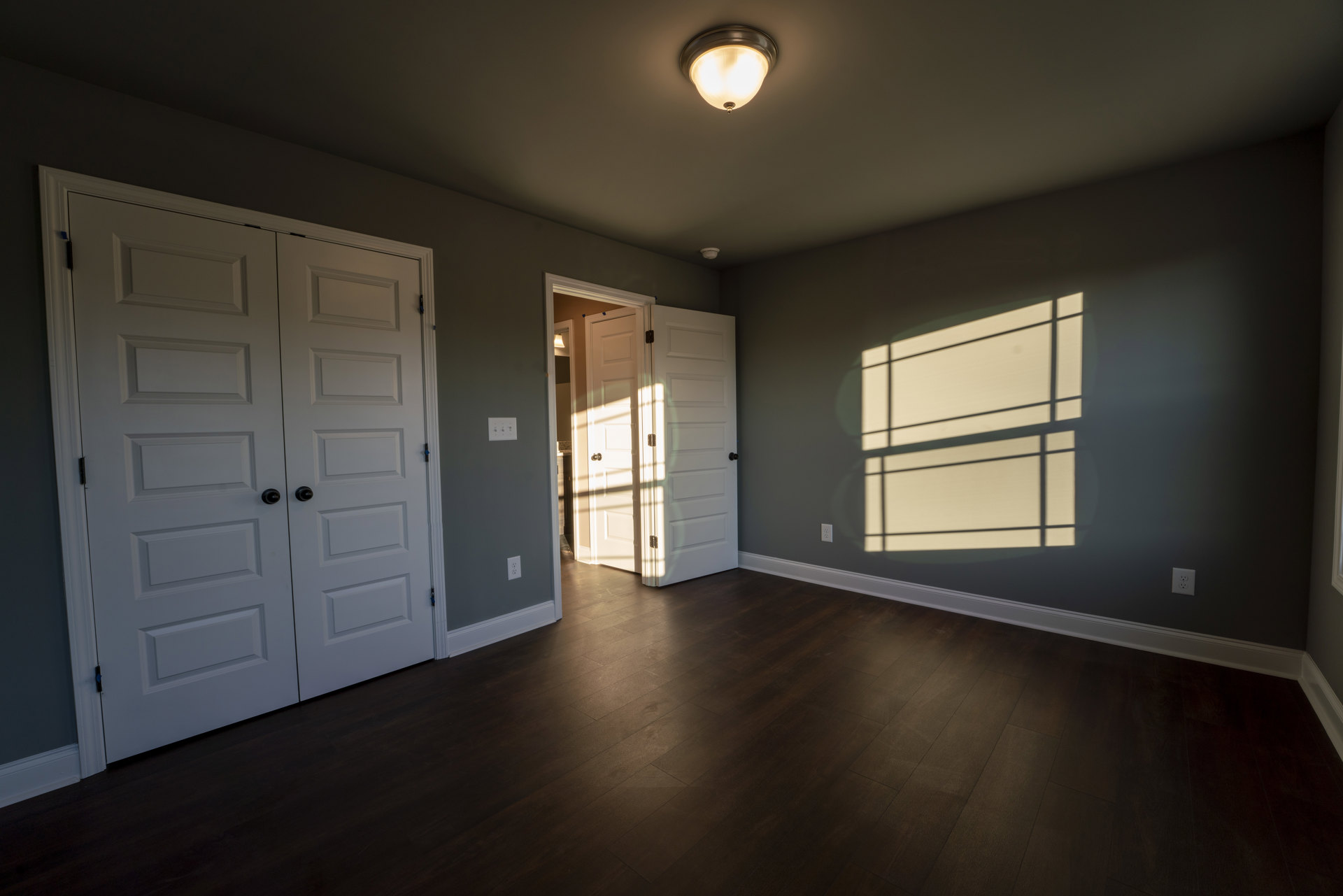 Double white doors with black knobs, dark wood flooring, white baseboards, wall-mounted light fixture, ceiling light, sunlight casting window shadow across floor and doors