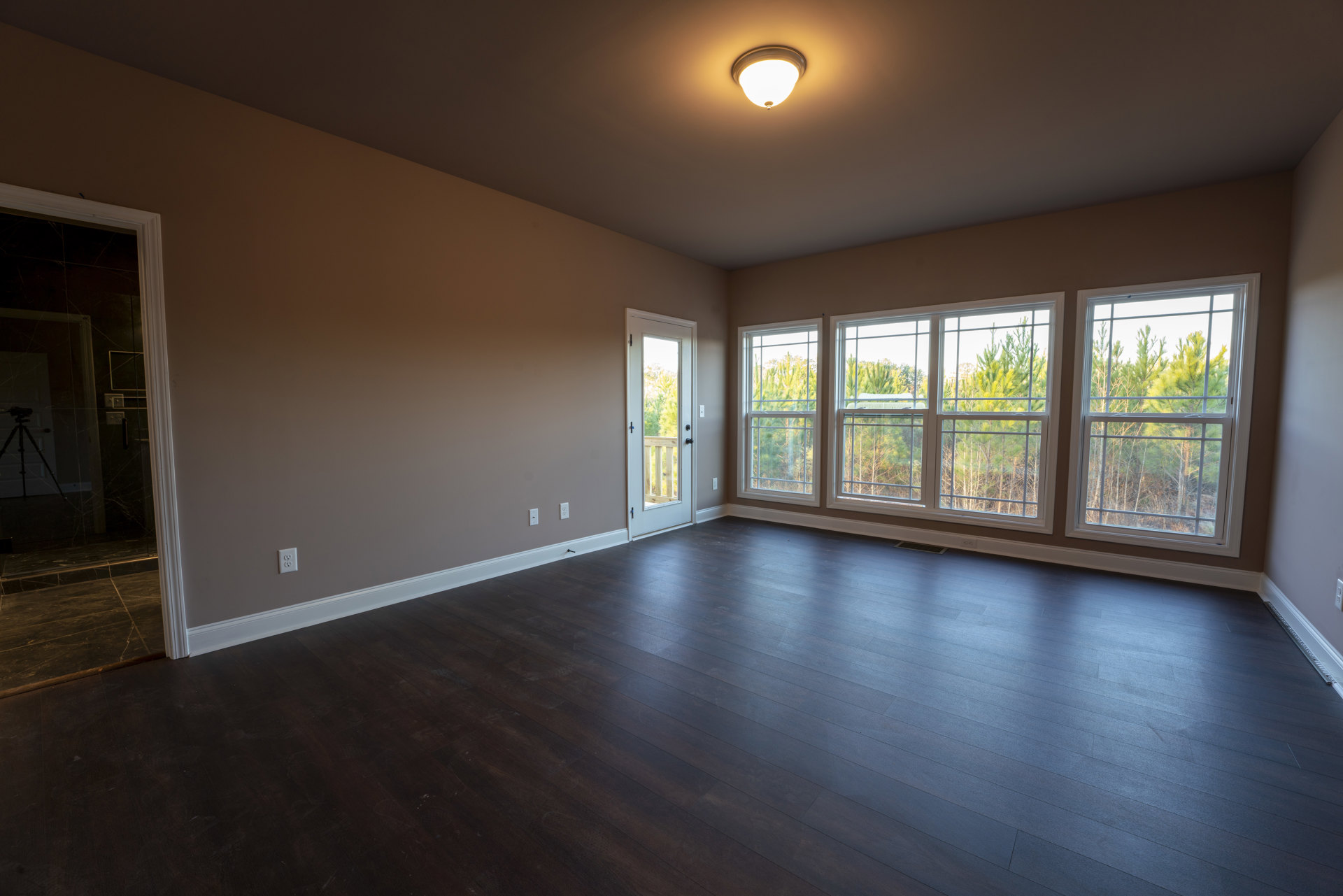 Dark wood flooring in a spacious room with a large window overlooking trees, glass-paneled door, and ceiling light fixture.