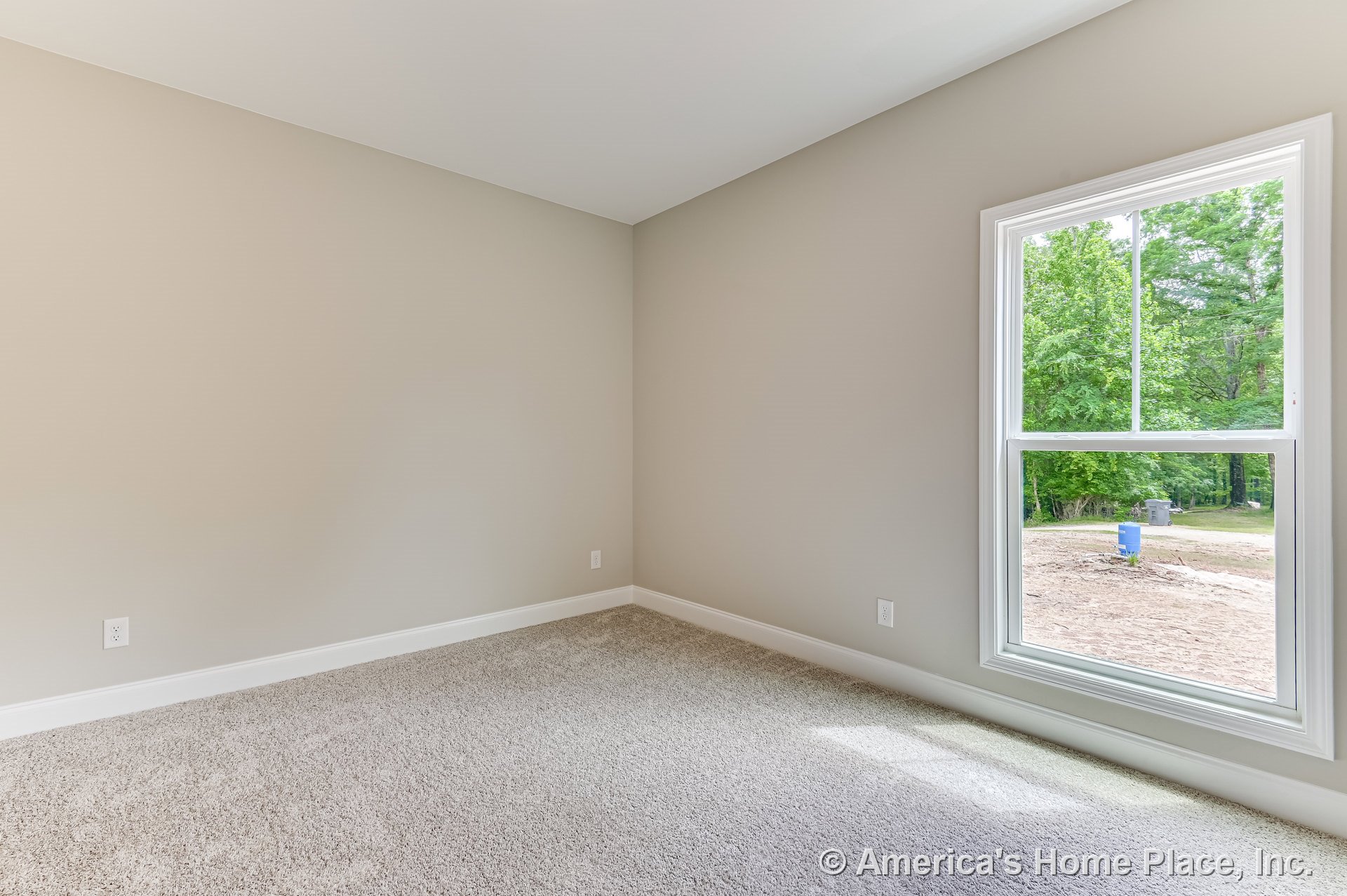 Bedroom with beige carpet flooring, large double-hung window framed in white trim, neutral painted walls, white baseboards, and ceiling without light fixtures.