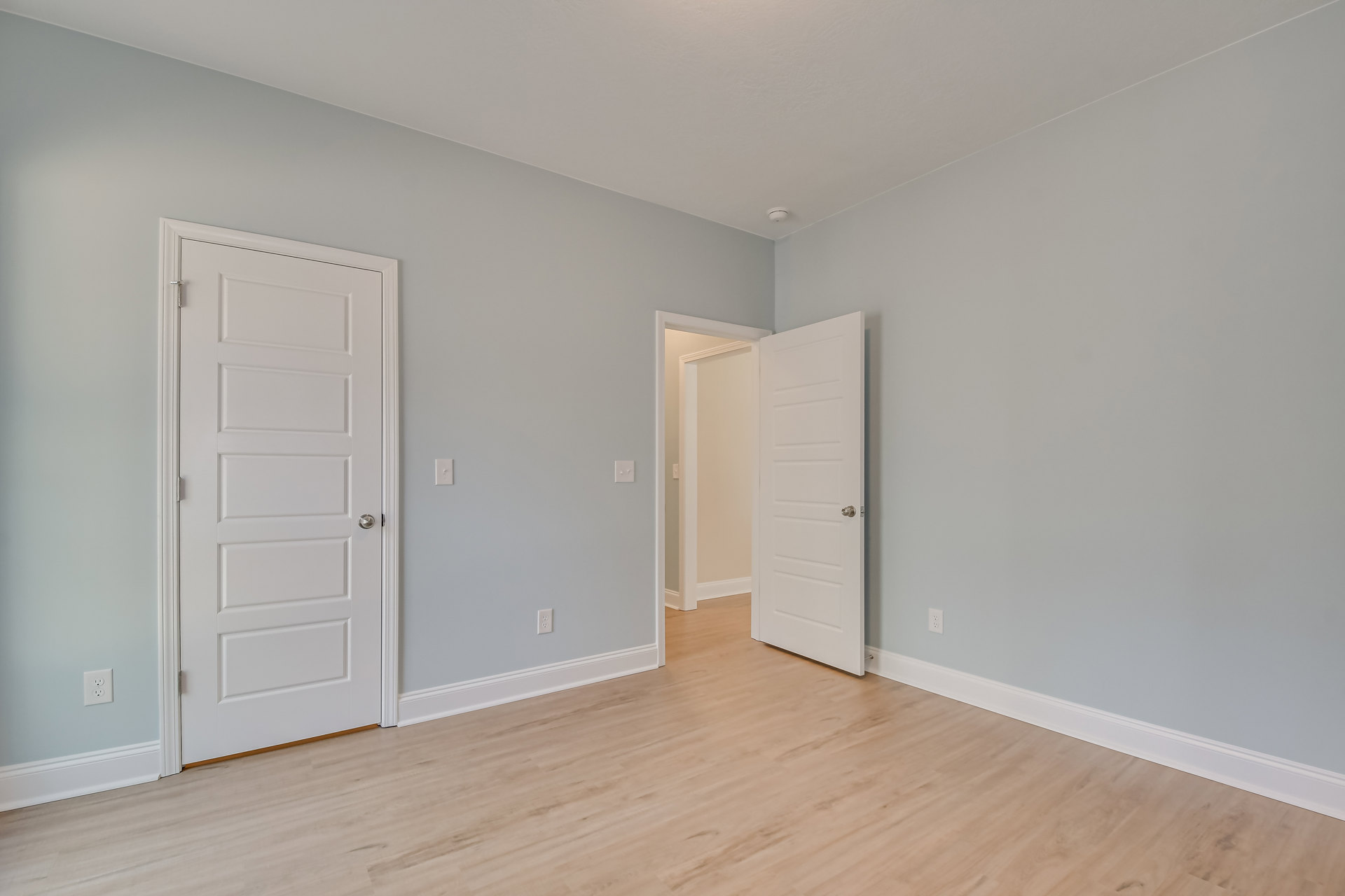 Room with two white paneled doors featuring silver handles, wood flooring with white baseboard trim, light-colored walls