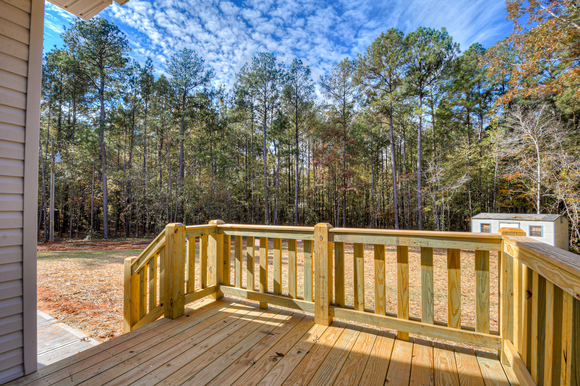 Wood deck with horizontal wood railing, surrounded by tall trees and leafy forest backdrop