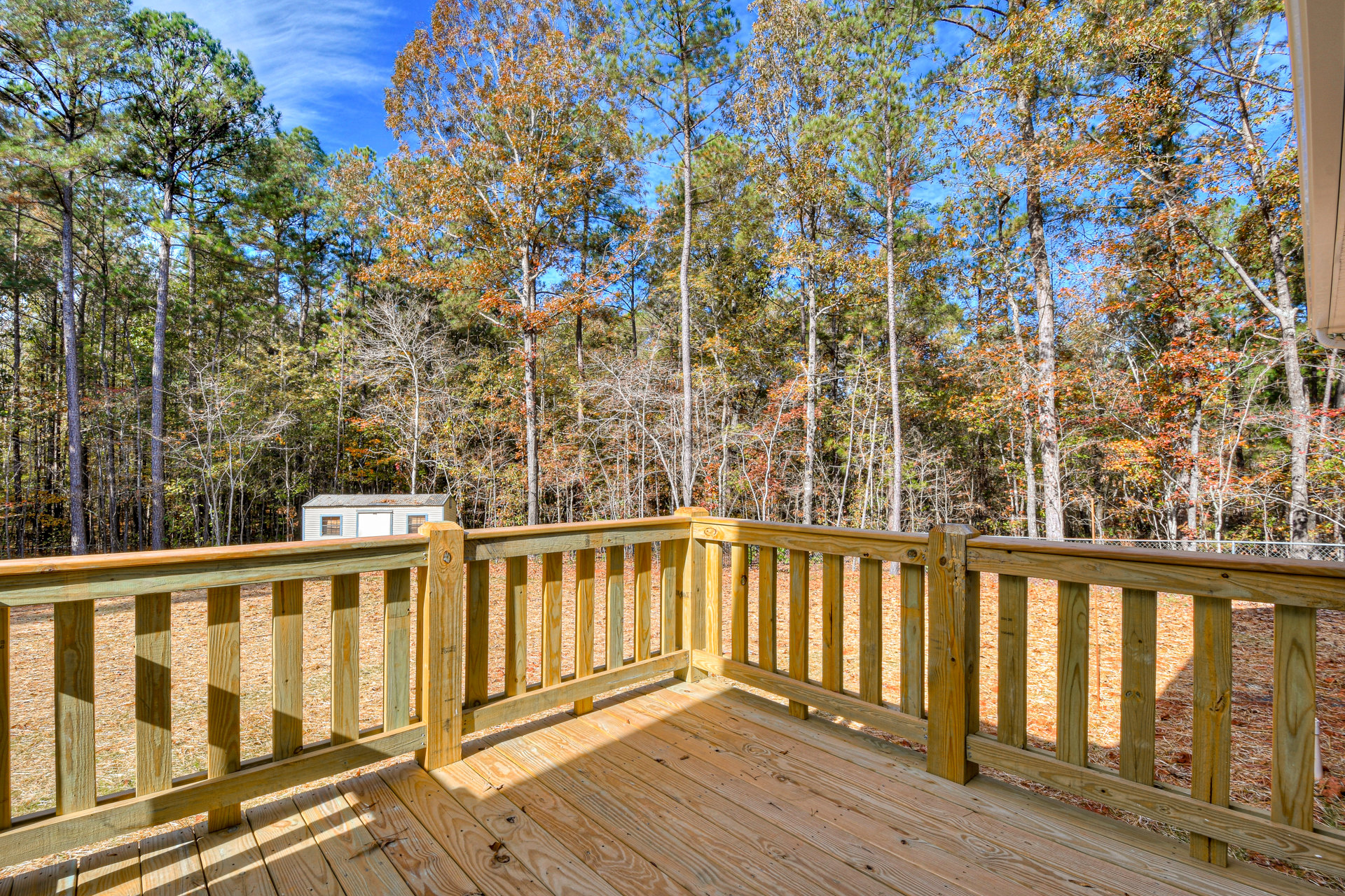 Wooden deck with railing, white shed, tree with orange autumn leaves, and dense trees in the background
