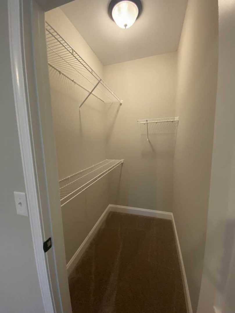 Walk-in closet with white wire shelving, wall-mounted sconce light, beige carpet flooring, and painted walls
