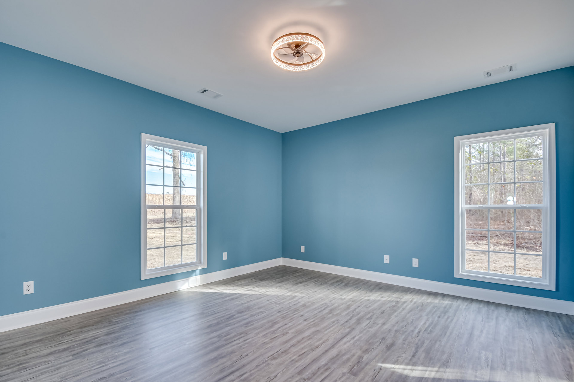 Blue-painted walls, wood plank flooring, ceiling fan with light, large window framing leafy trees, white baseboard molding