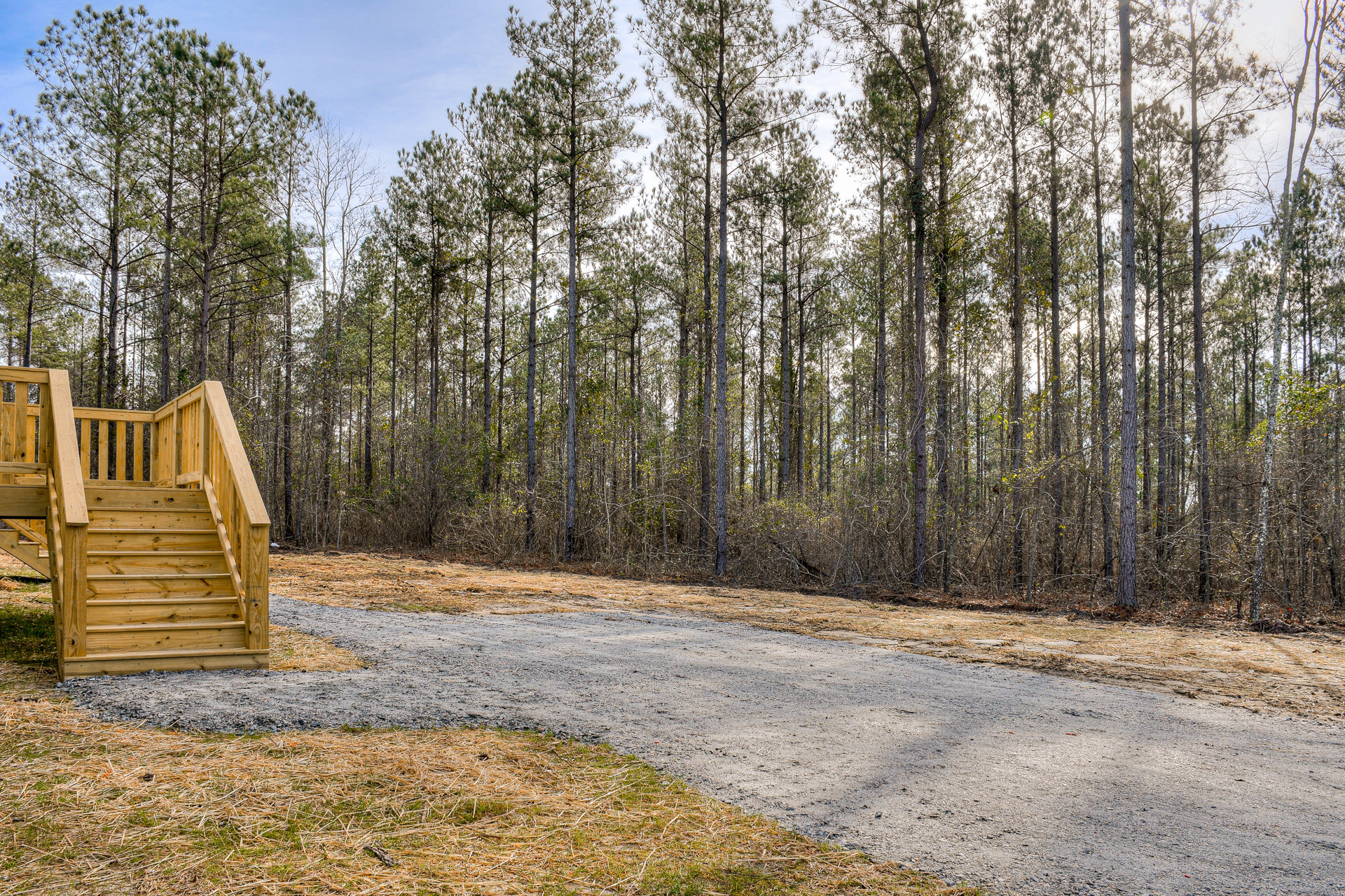Wooden staircase descending to gravel pathway surrounded by tall trees, dense forest greenery, and patches of grass