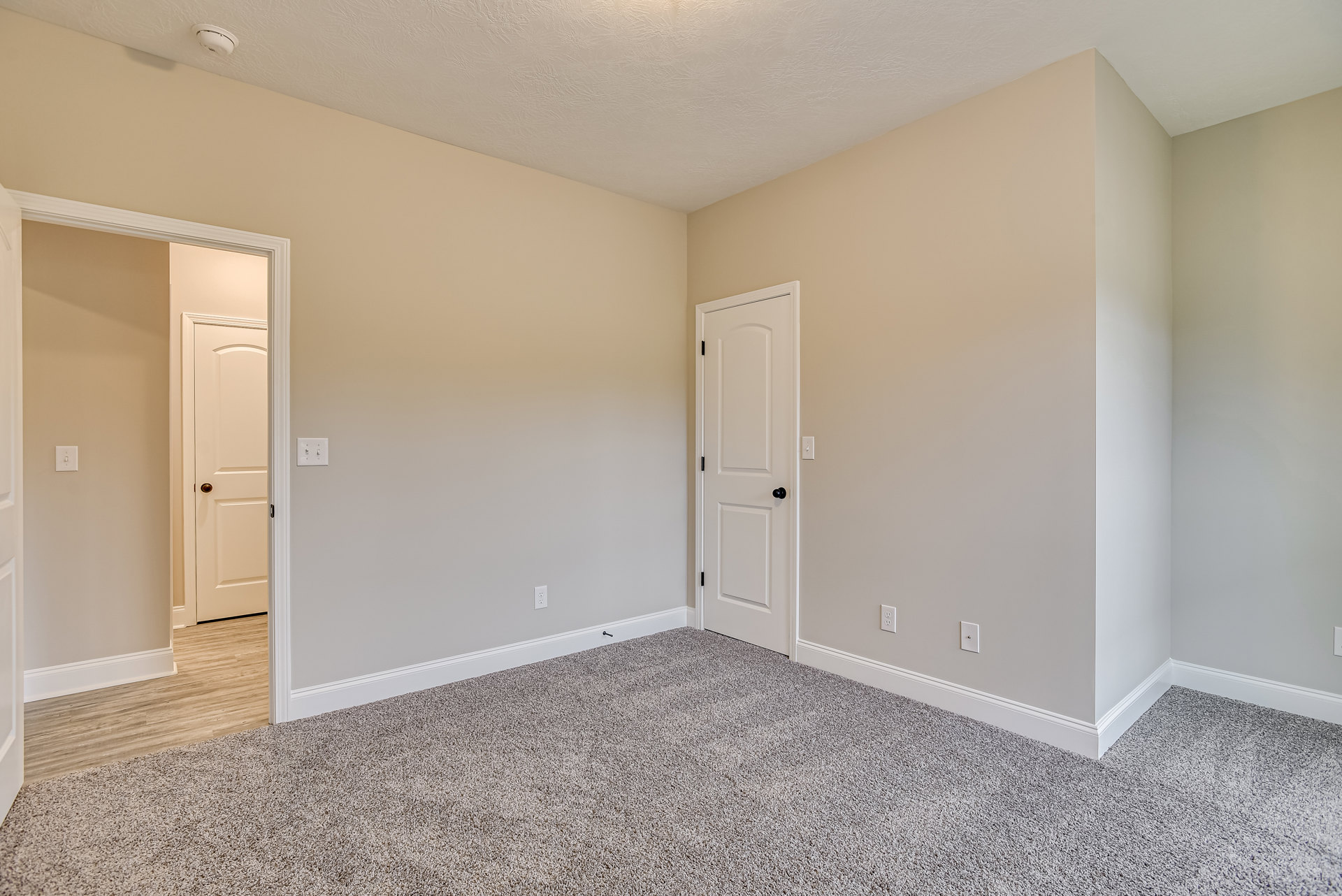 White paneled door with black knob set in a white wall, beige carpeted floor, and visible light switch