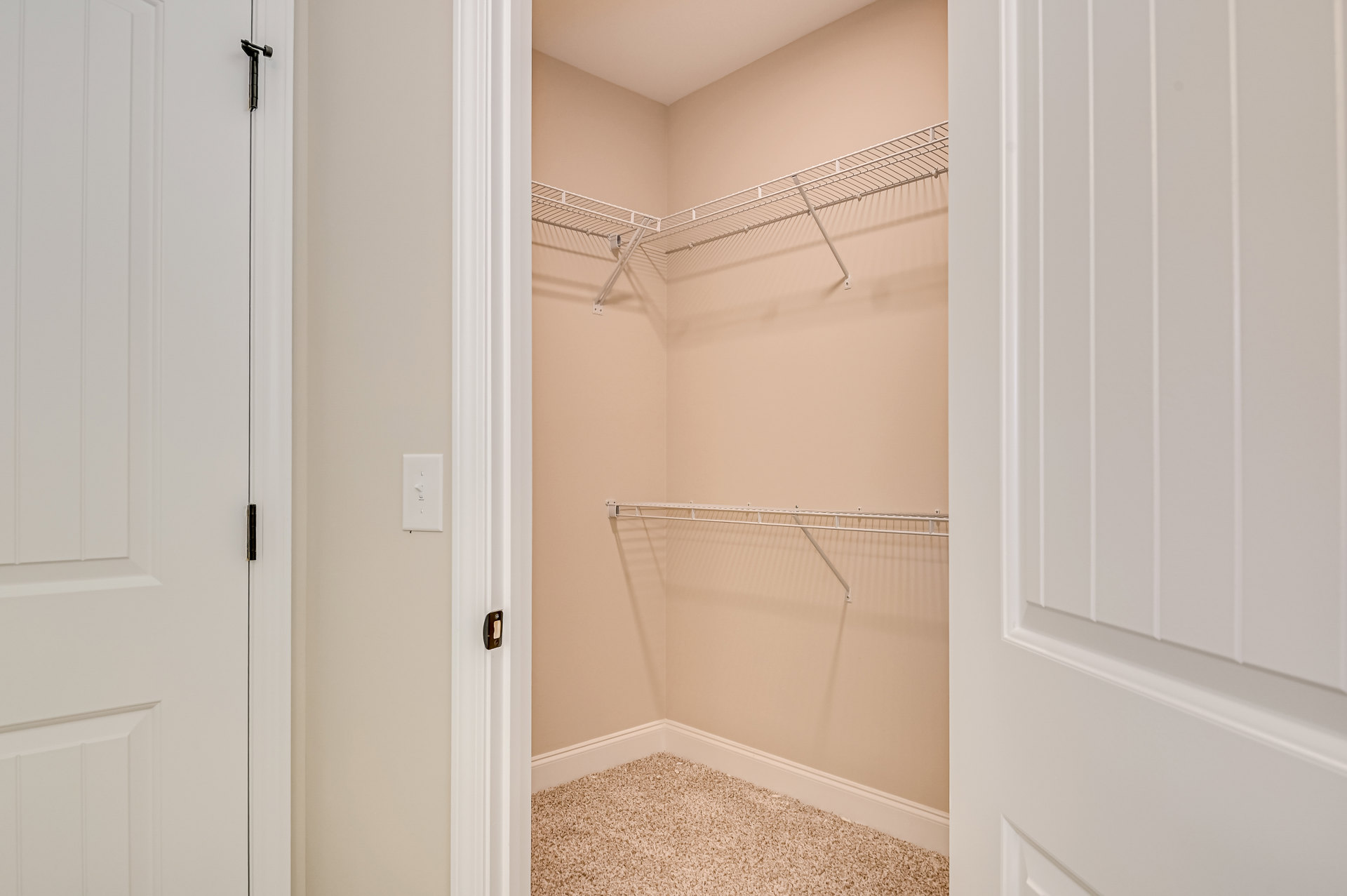 Walk-in closet with built-in white shelves, white door with chrome handle, carpeted floor, light switch on adjacent wall, white molding along ceiling and baseboards