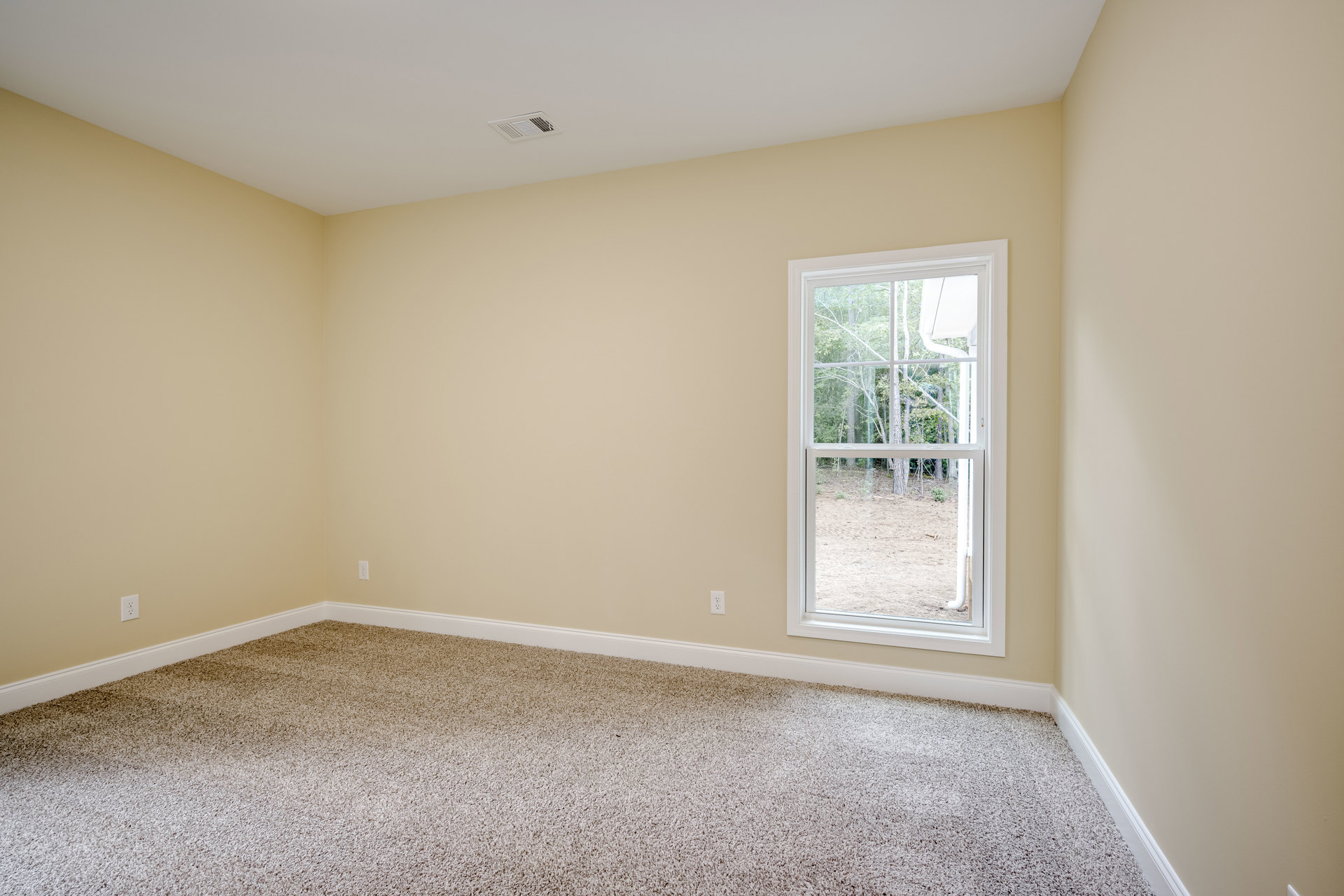 Carpeted room with white walls, ceiling vent, electrical outlets, and large window overlooking trees and forest