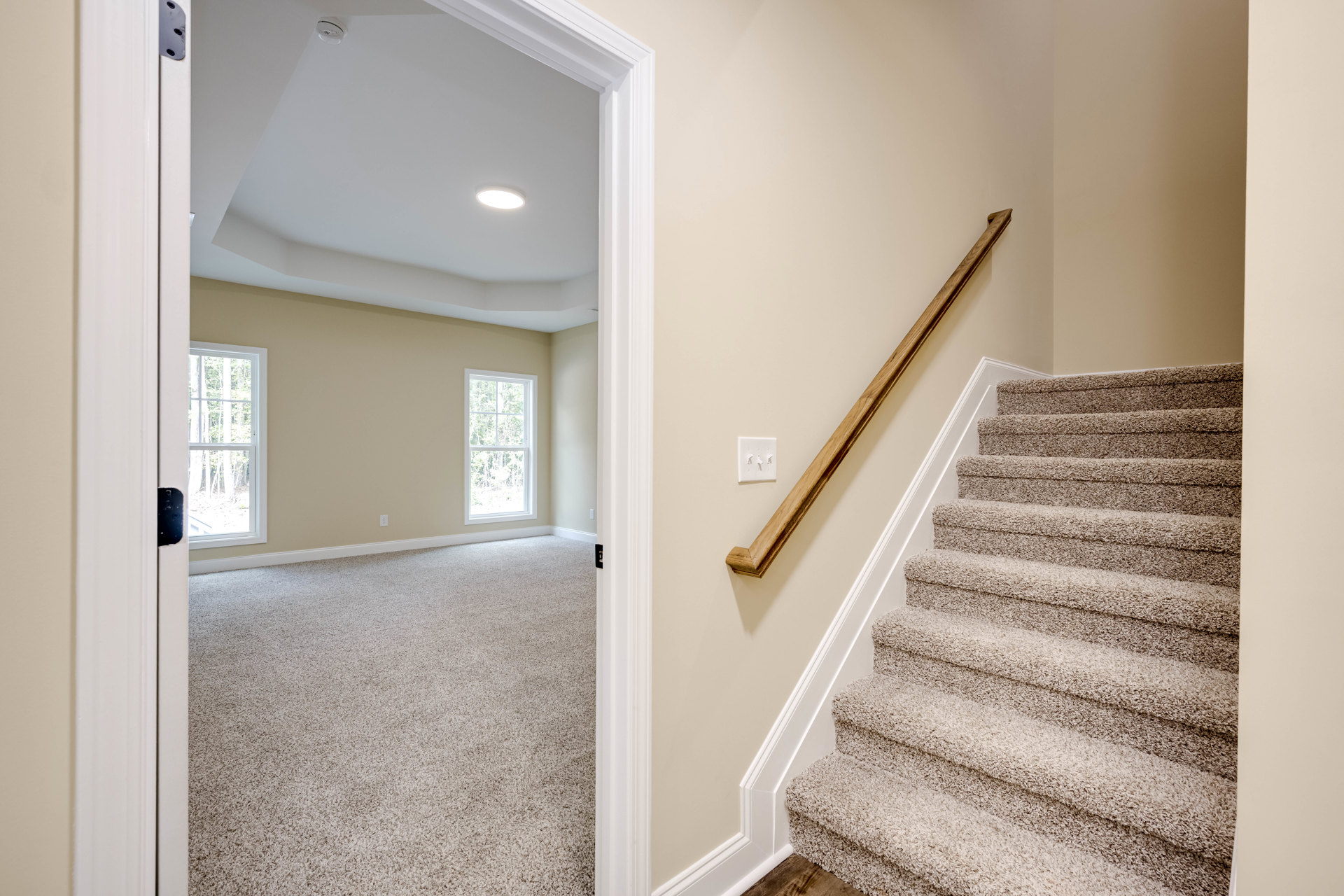 Wooden staircase with white risers and handrail, carpeted landing, large window revealing leafy trees outside, light switch on plaster wall, crown molding along ceiling.