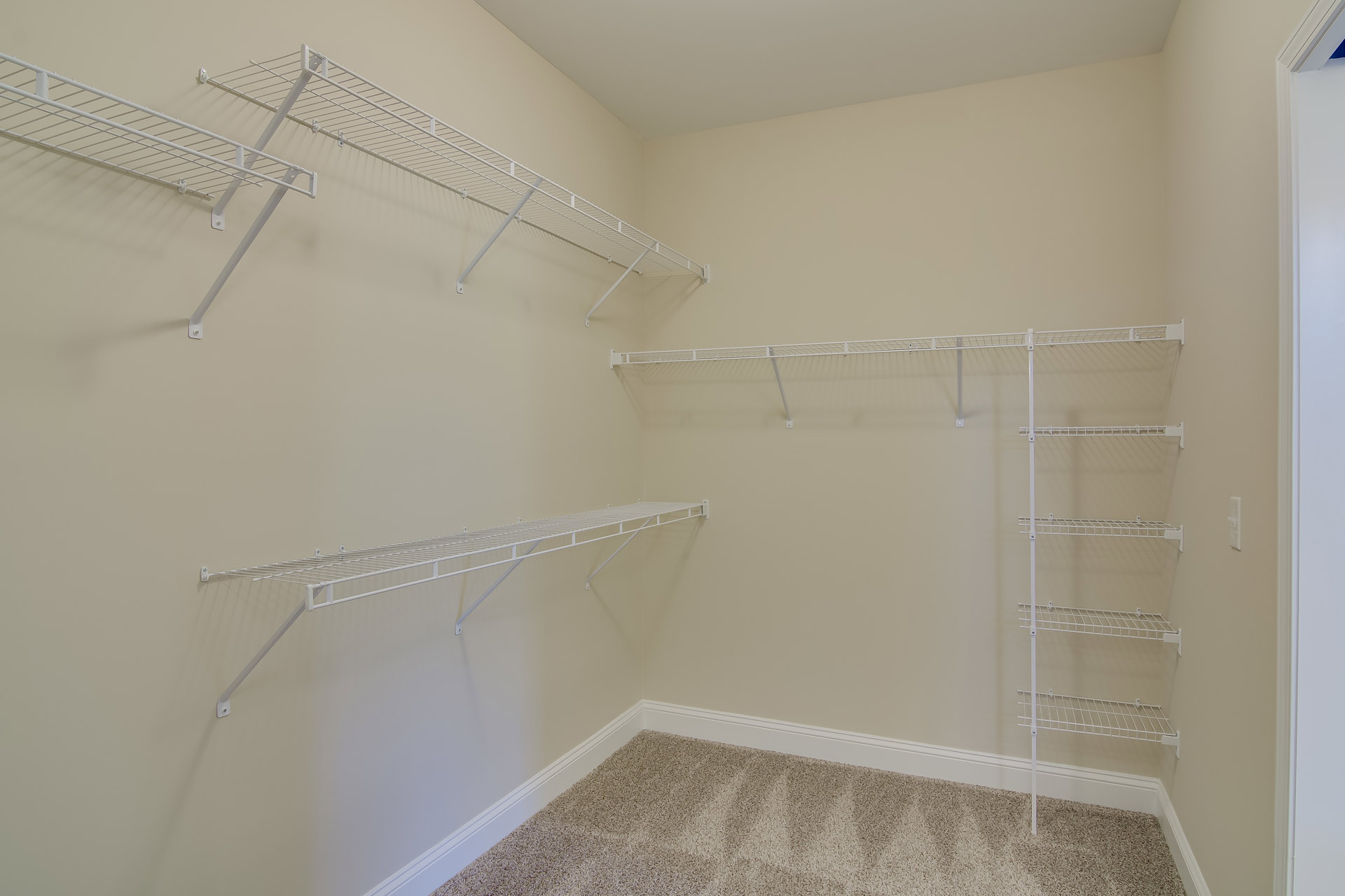 Carpeted room with white wire shelving and baseboards, white clothes drying rack, plaster walls, and ceiling