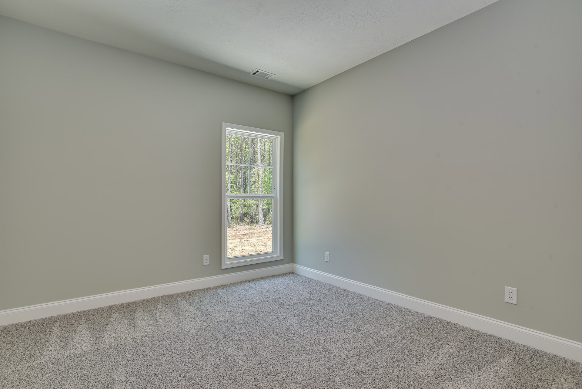 Carpeted room with white walls, large window overlooking trees, ceiling vent, and simple molding.