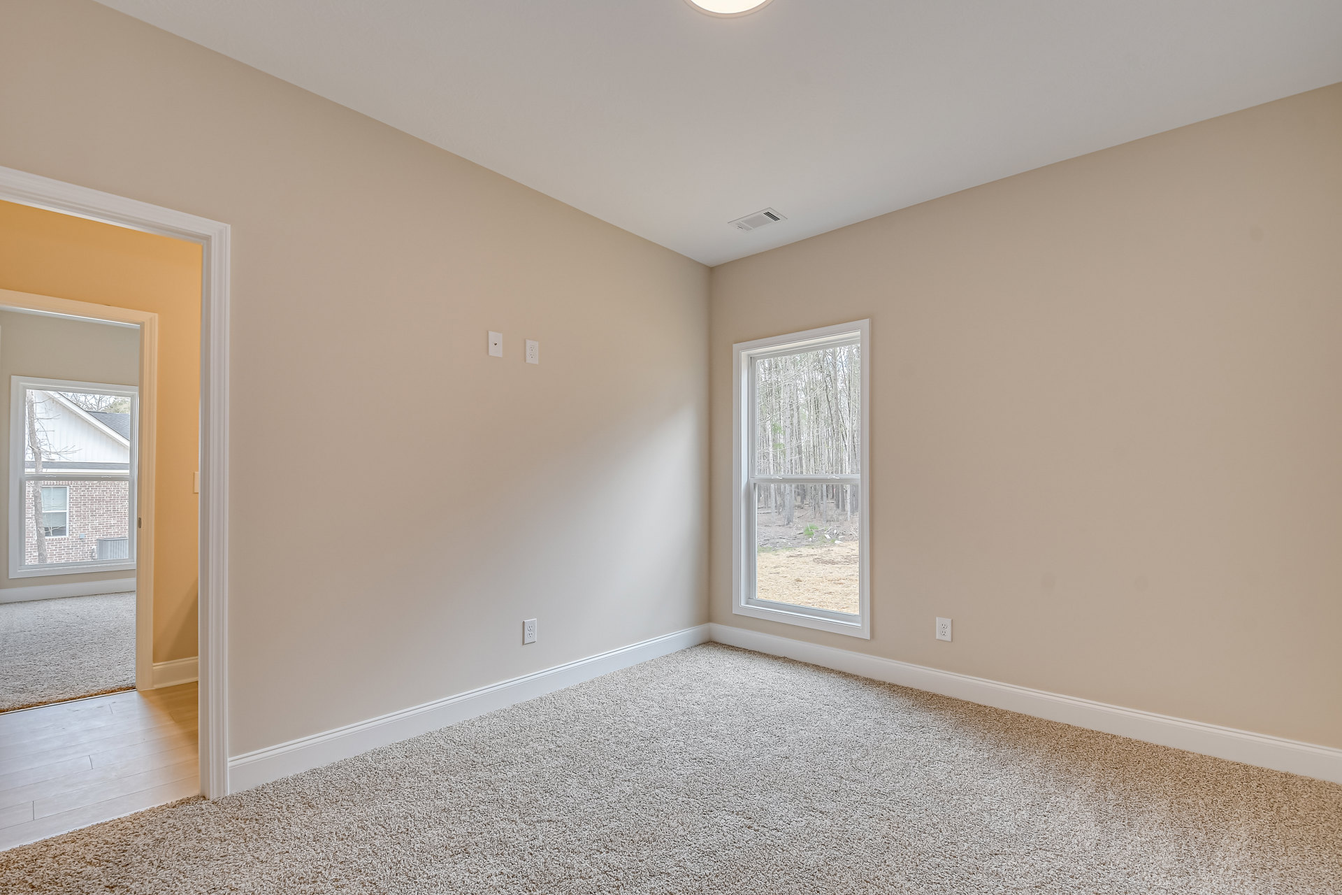 White carpeted room with a large window, tree branches and brick building visible outside, white plaster walls, ceiling light fixture, and decorative molding.