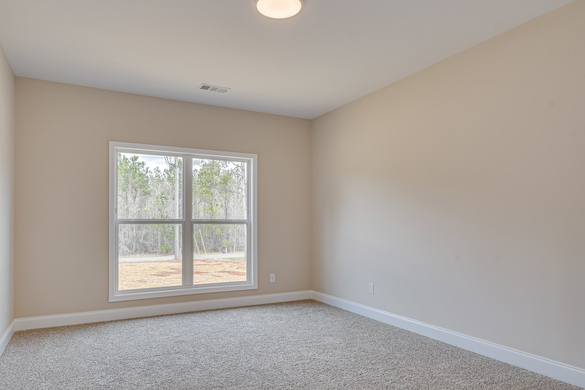 Carpeted bedroom with large window overlooking trees, white walls, ceiling light fixture, and decorative molding.