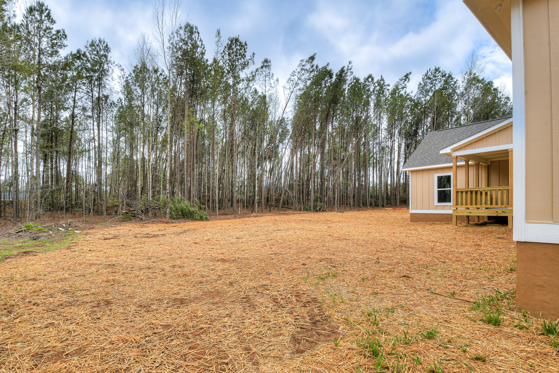 Two-story home with white-framed windows and wooden porch railing, surrounded by dry grass and dense forest trees