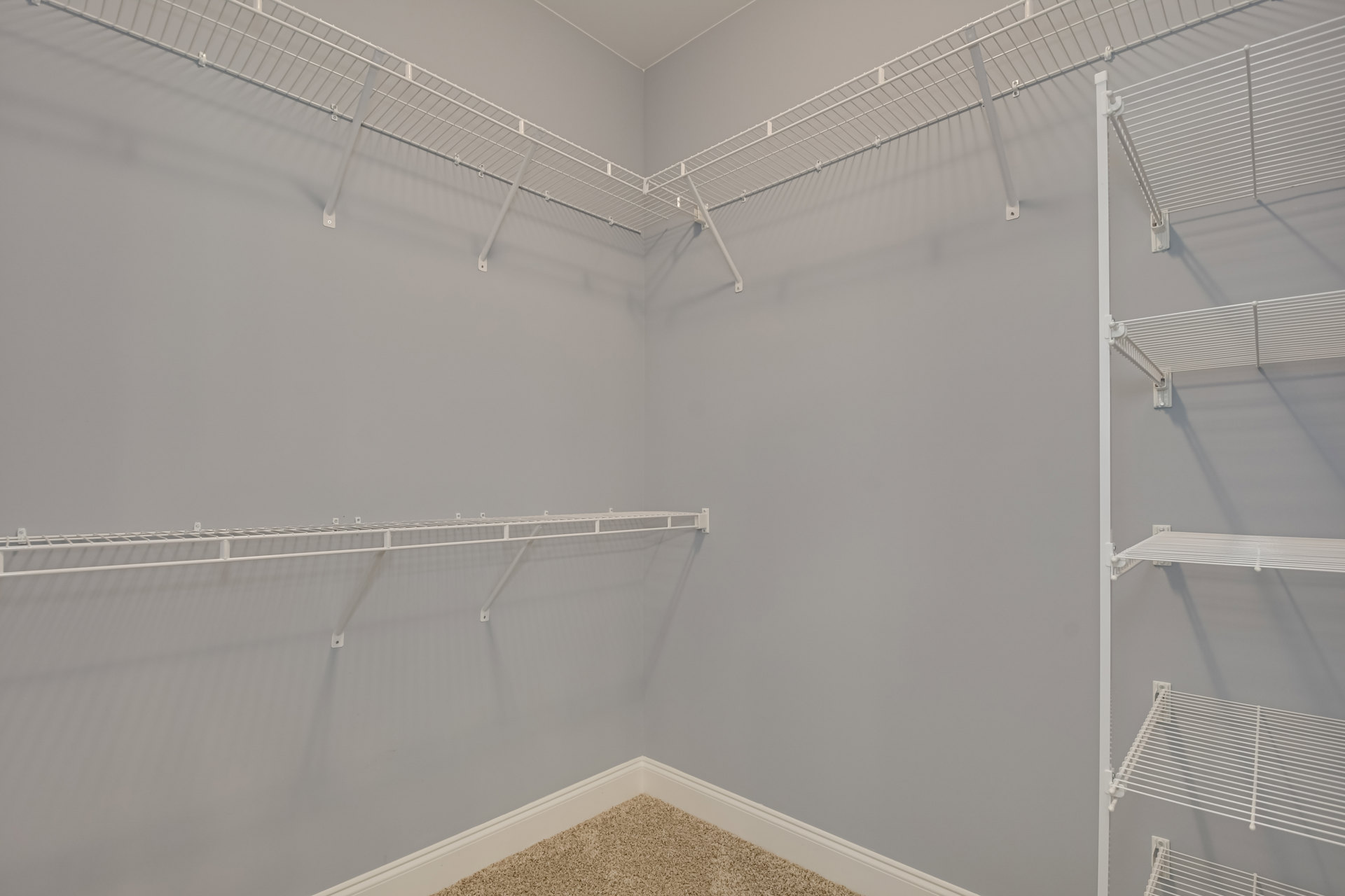 Carpeted room with white built-in shelves, white baseboards, and plaster walls