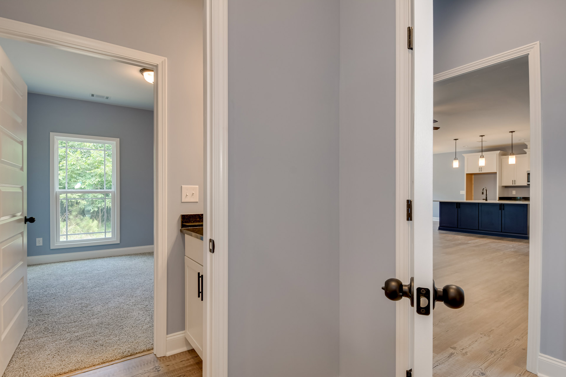 White door with brushed metal handle open to carpeted room, light switch on plaster wall, window reveals leafy trees outside
