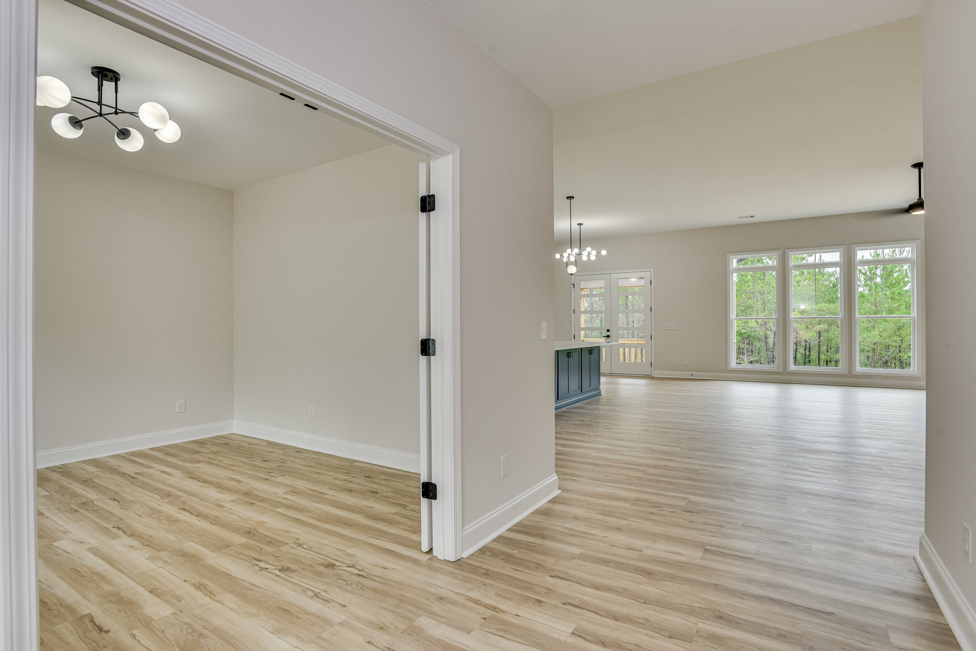 Wood-floored room with open door, multiple large windows overlooking trees, black and white chandelier with three round lights, white walls with black hinges, close-up of white