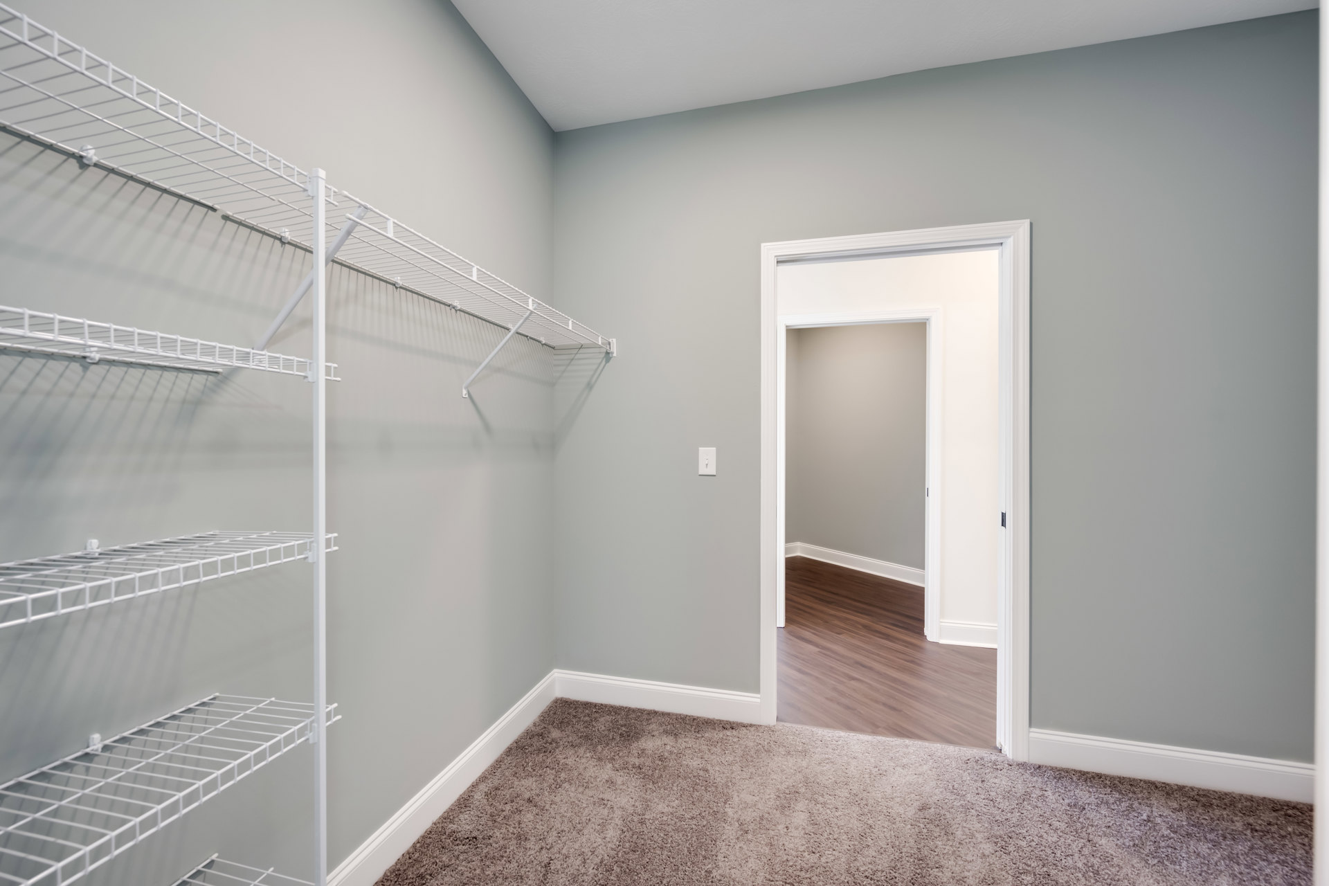 Open white door revealing empty closet with white wire shelving, light carpet flooring, and smooth plaster walls