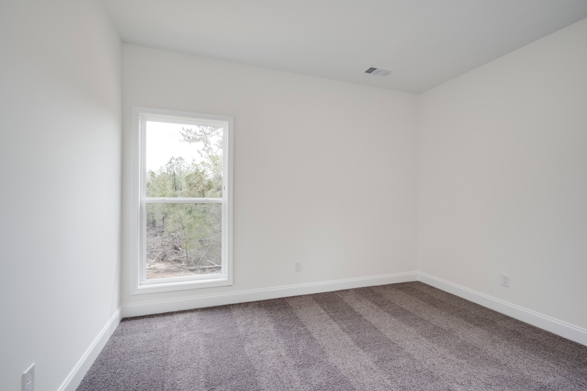 Bright room with white walls, large window overlooking trees, soft beige carpet flooring, and clean architectural lines