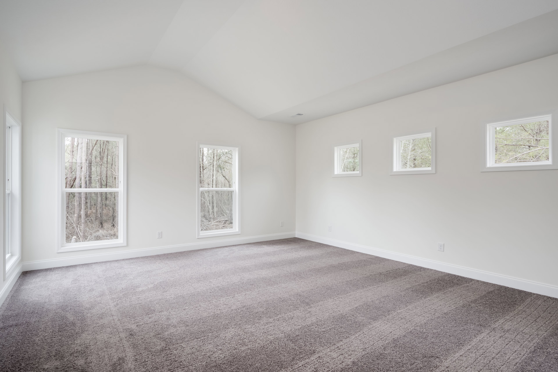 Carpeted room with large windows, white walls, and ceiling; natural light filters in, trees visible outside