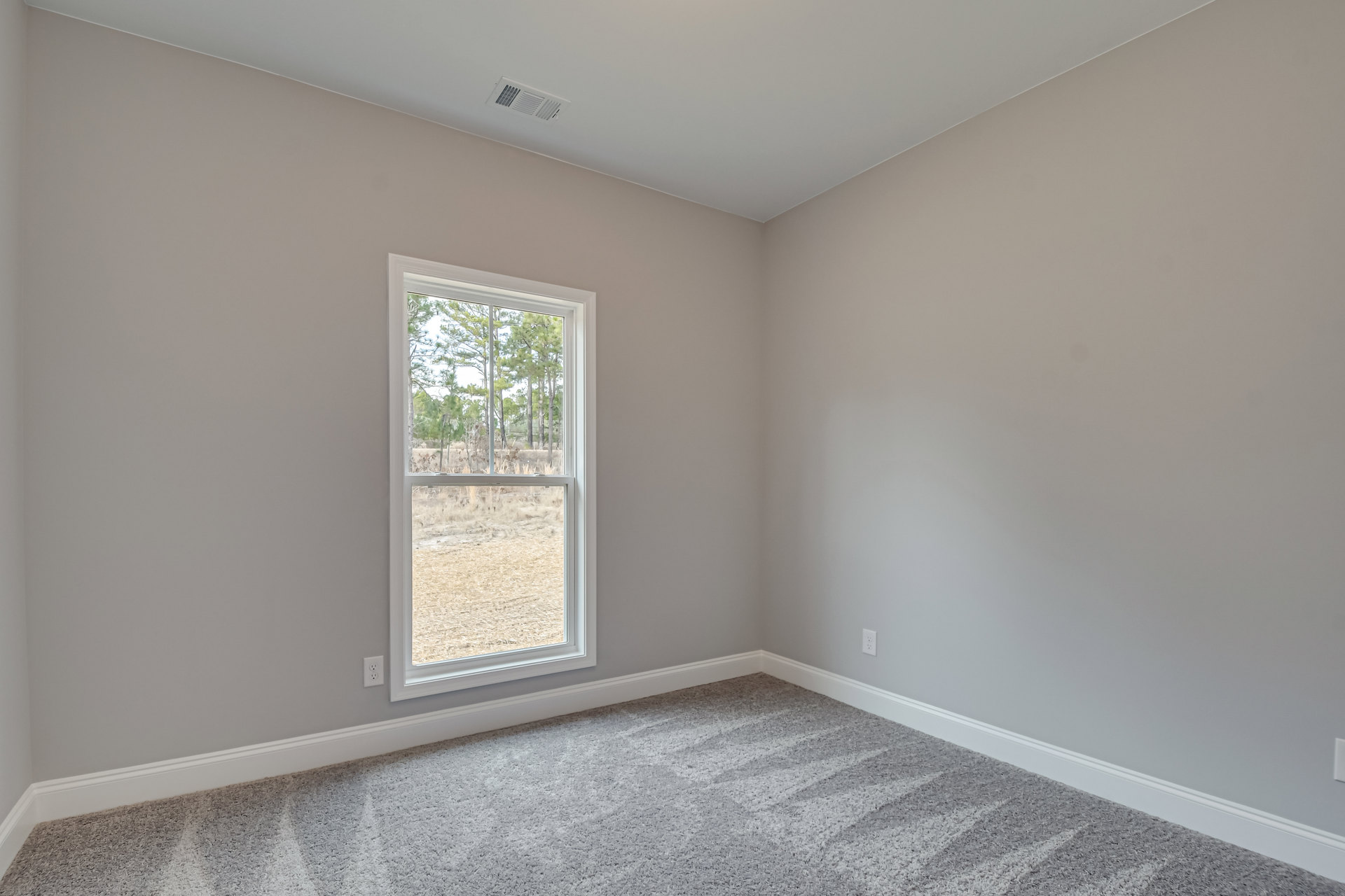 Bright room with white walls, large window overlooking green grass and trees, soft grey carpet flooring, ceiling vent, and simple molding.