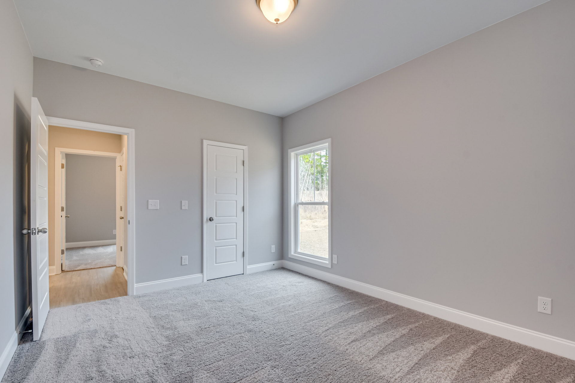 White paneled door with silver knob, carpeted floor, white baseboard trim, window showing green trees, close-up ceiling light, smooth white walls