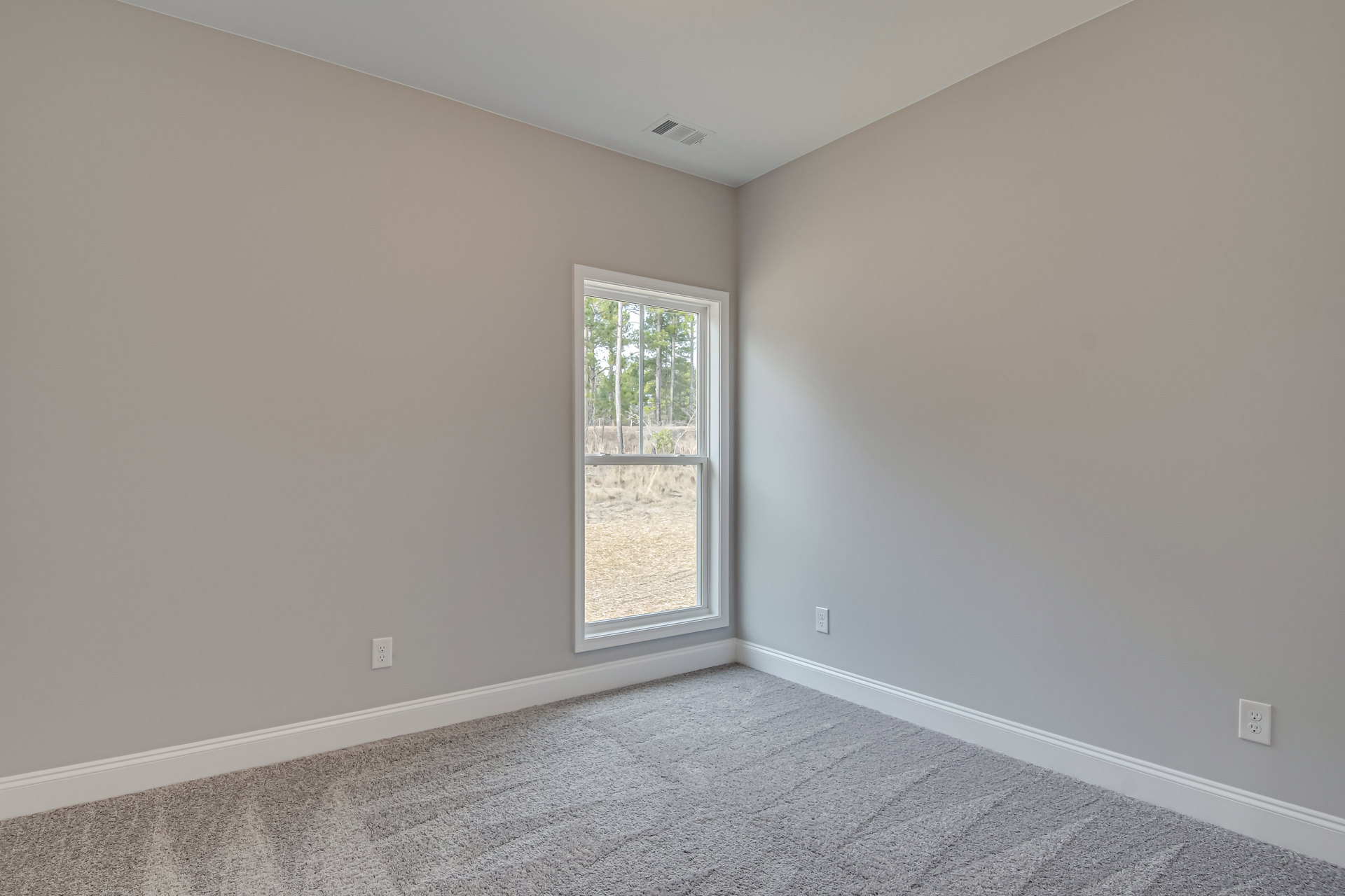 Carpeted room with white plaster walls, large window overlooking grassy field and trees, decorative molding along ceiling