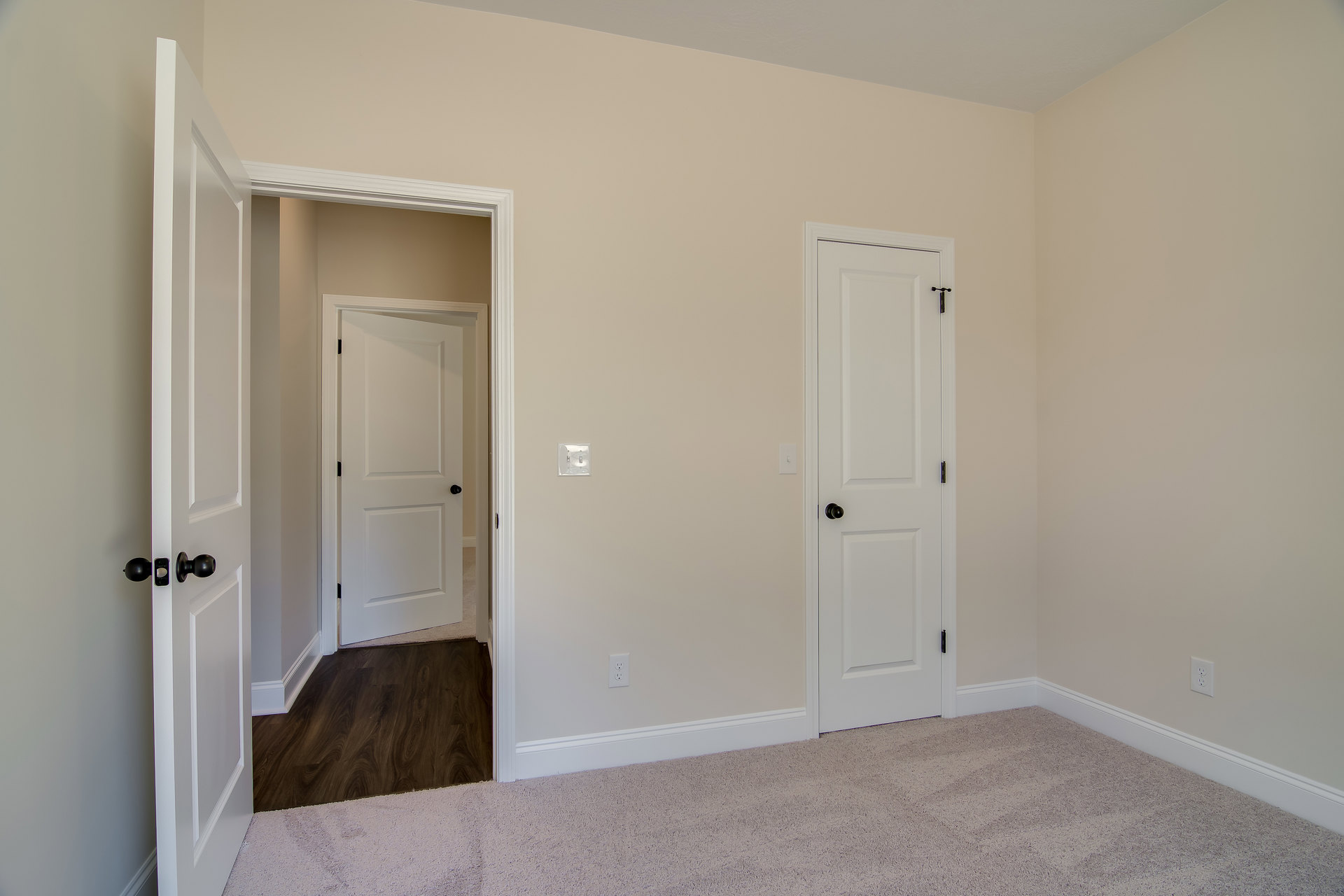 White paneled door with black knob and adjacent carpet, dark wood flooring, white walls with molding, second door visible in custom home interior.