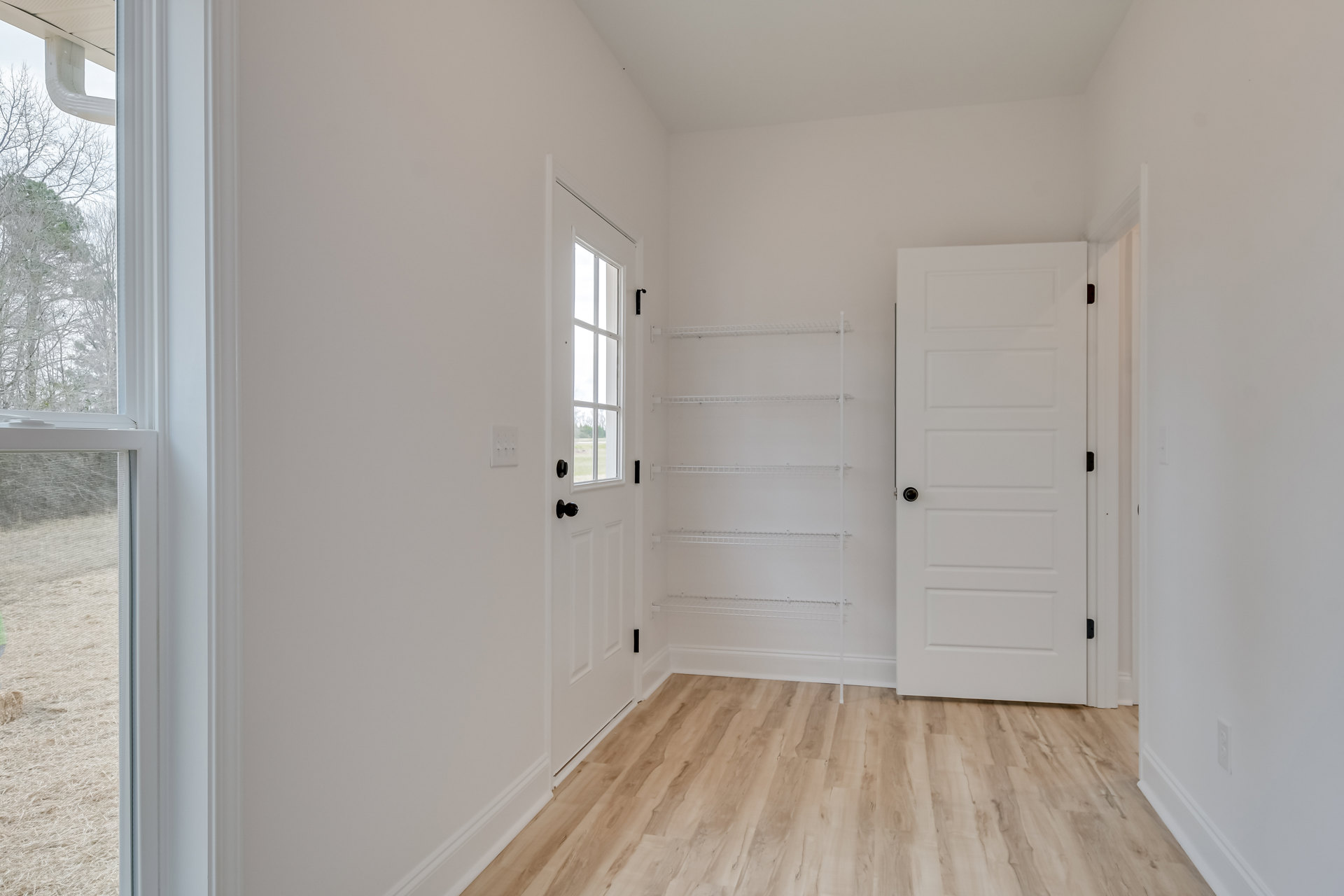 White walls, wood flooring, white door with black knob, large window, leafless tree visible outside