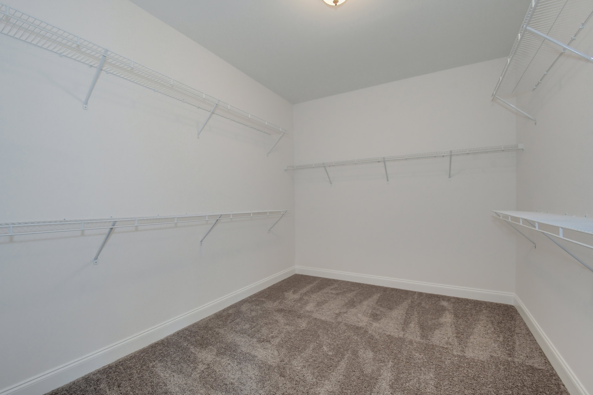 Carpeted room with white walls, white baseboards, and built-in white shelving with a hanging rod