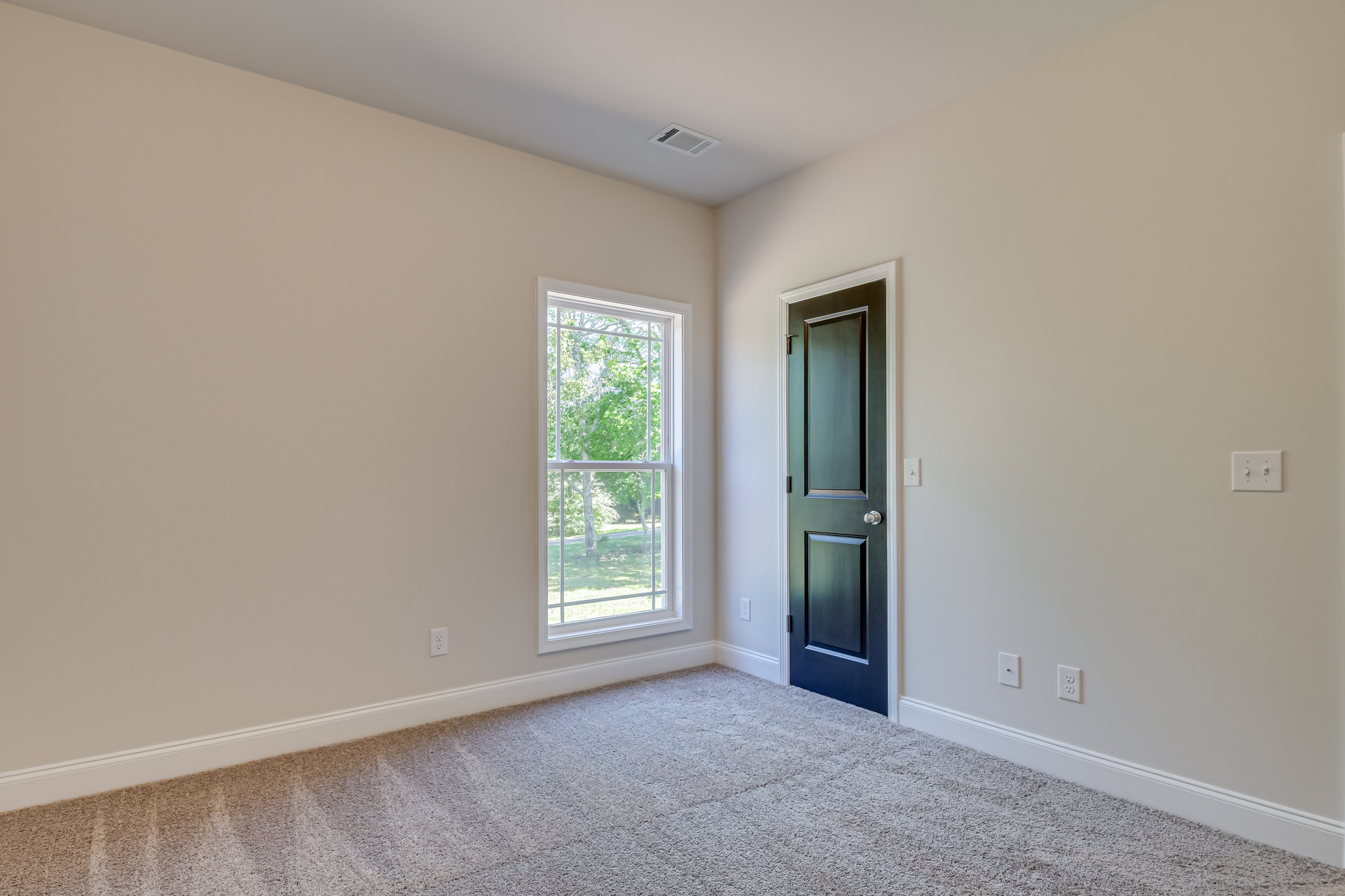 Carpeted room with white walls, black paneled door, large window overlooking trees, and a double light switch on the wall